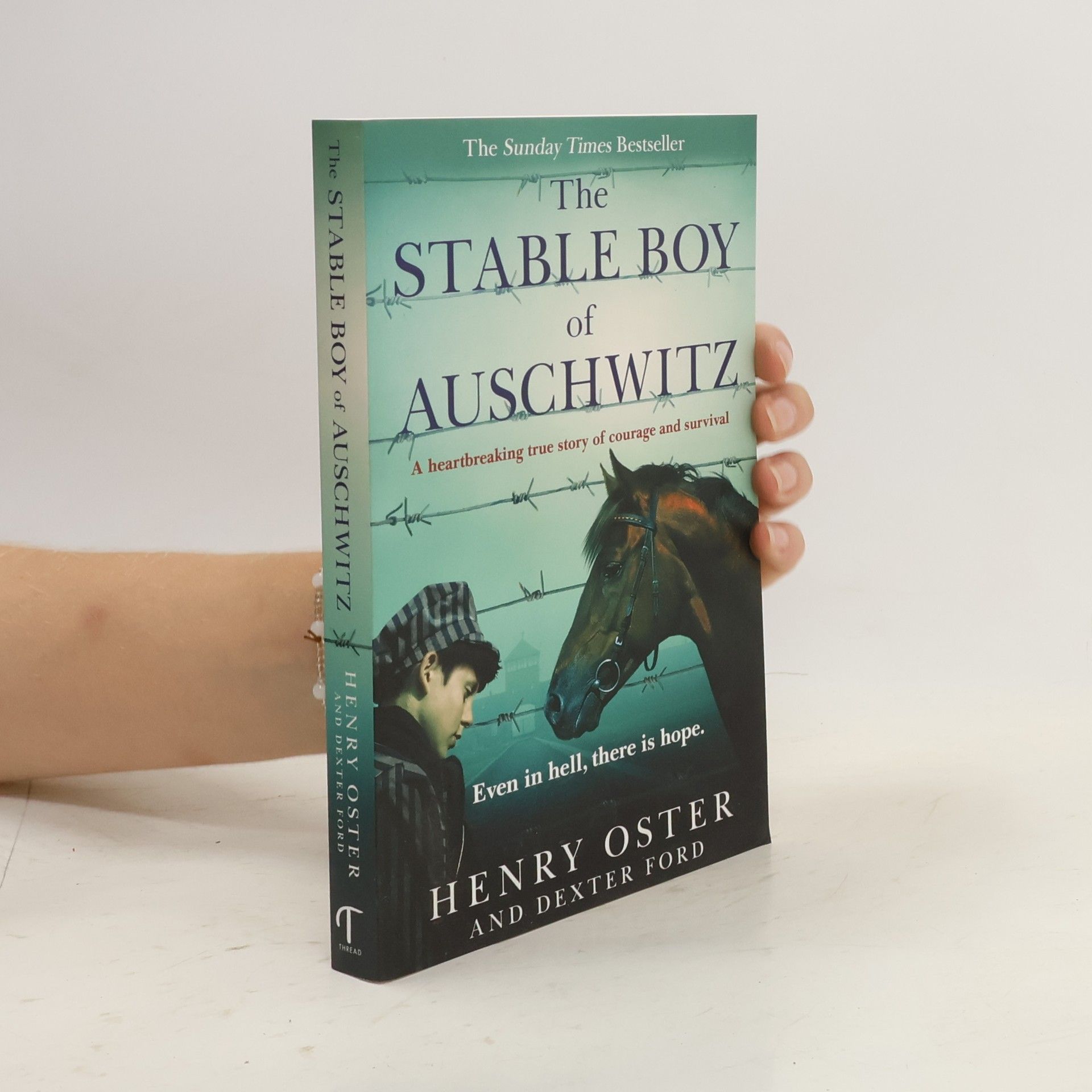 Ford Henry The Stable Boy of Auschwitz