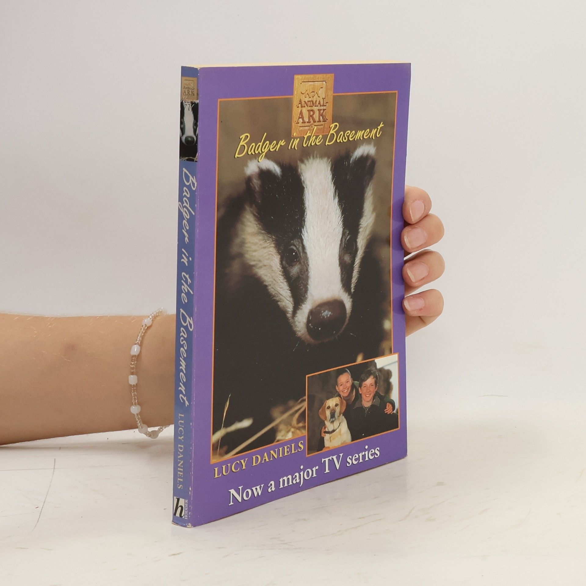 Lucy Daniels Badger in the Basement