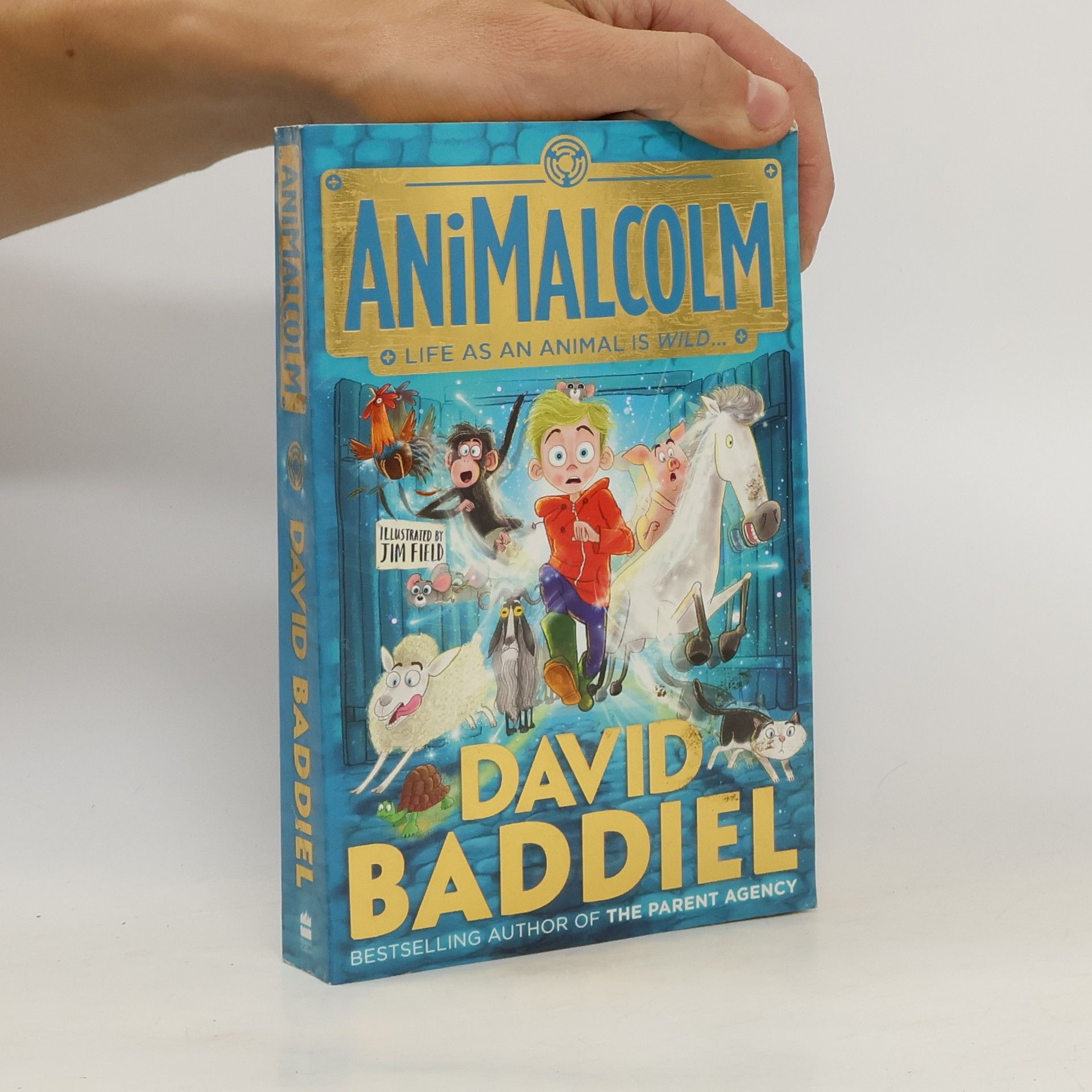 David Baddiel AniMalcolm