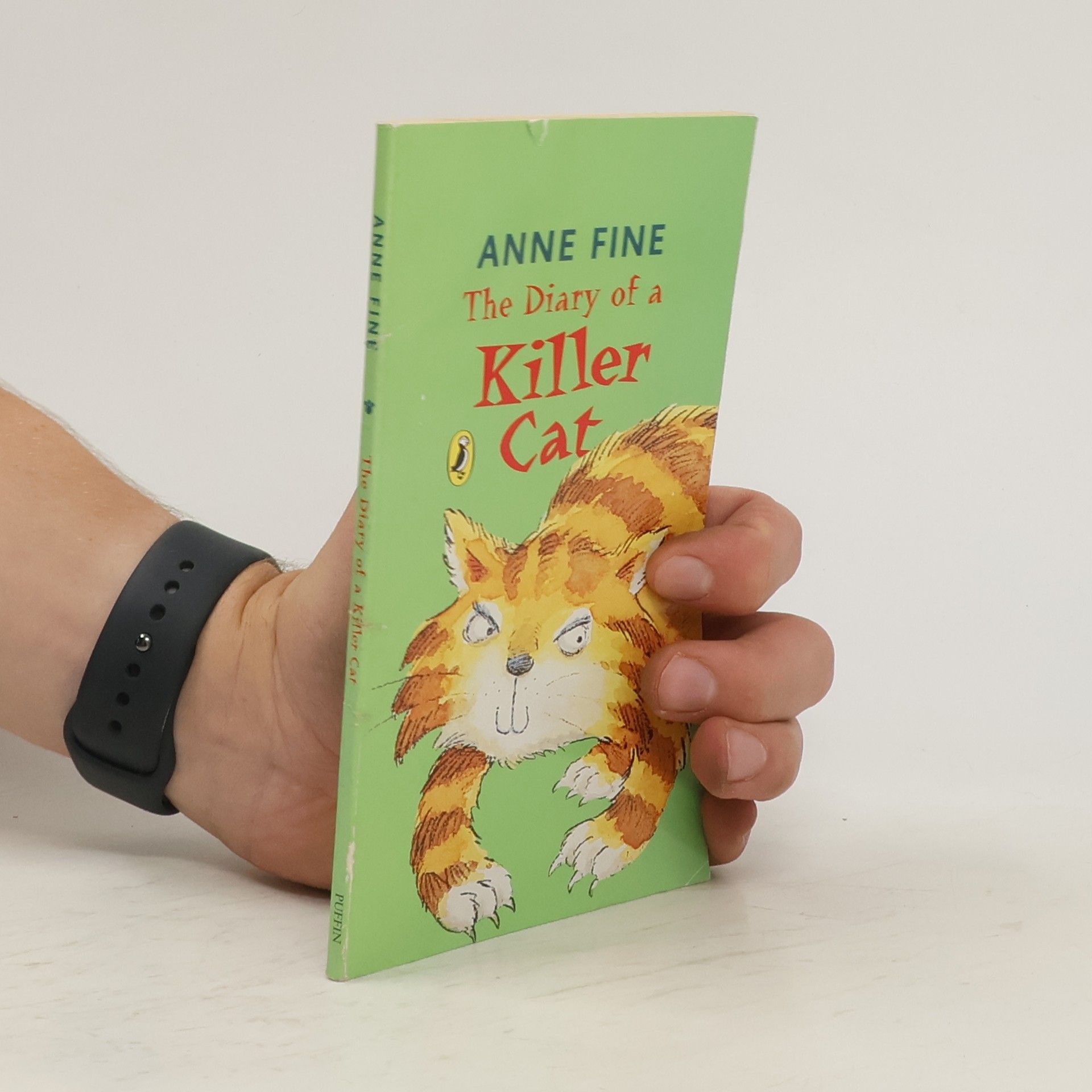 Anne Fine The Diary of a Killer Cat