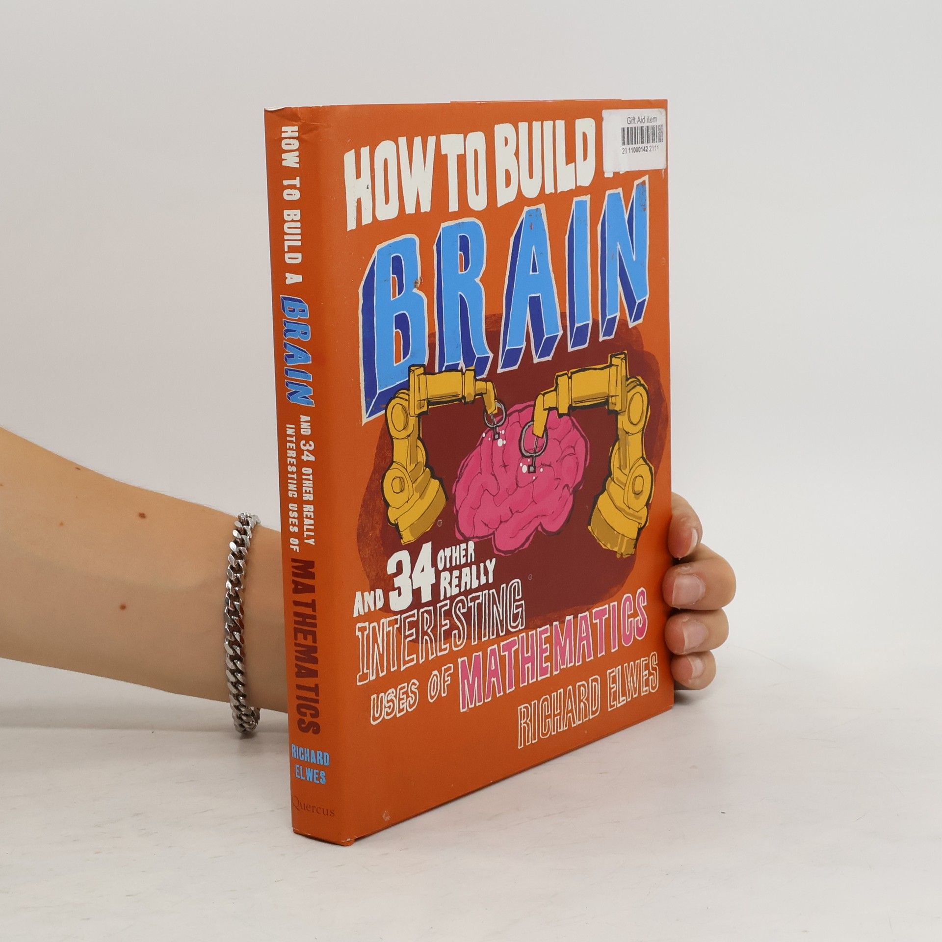 Richard Elwes How to Build a Brain