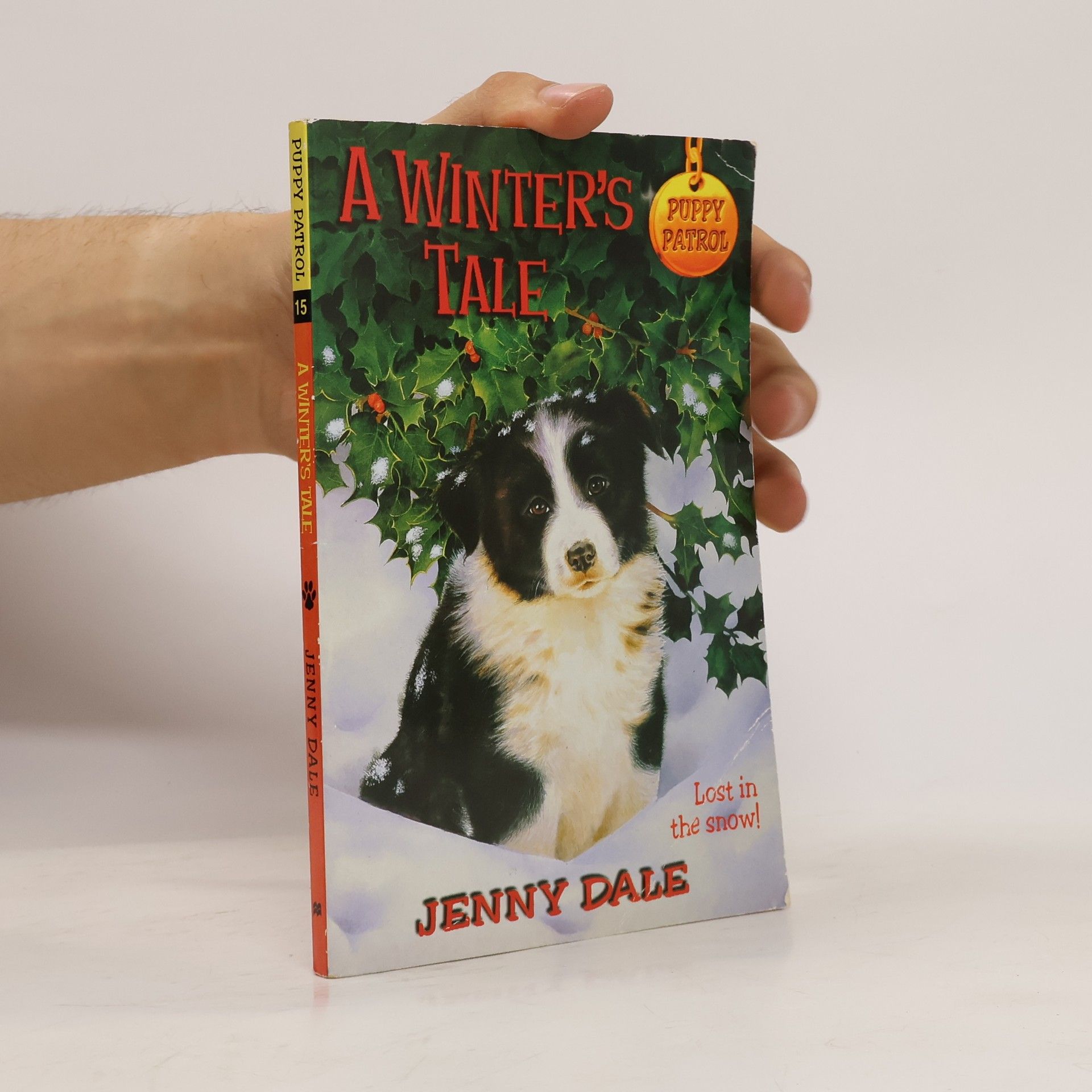 Jenny Dale A Winter's Tale