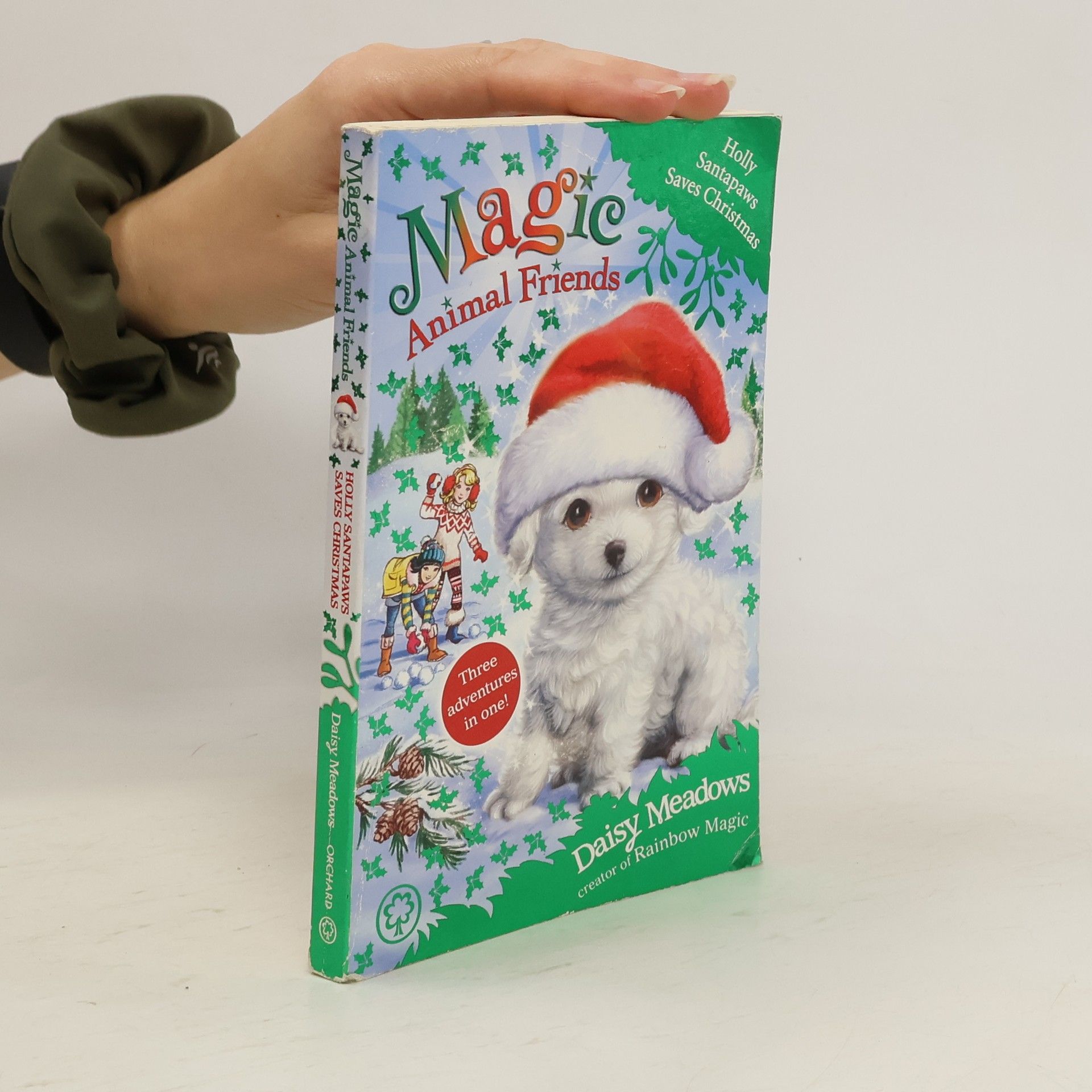 Daisy Meadows Magic Animal Friends: Holly Santapaws Saves Christmas