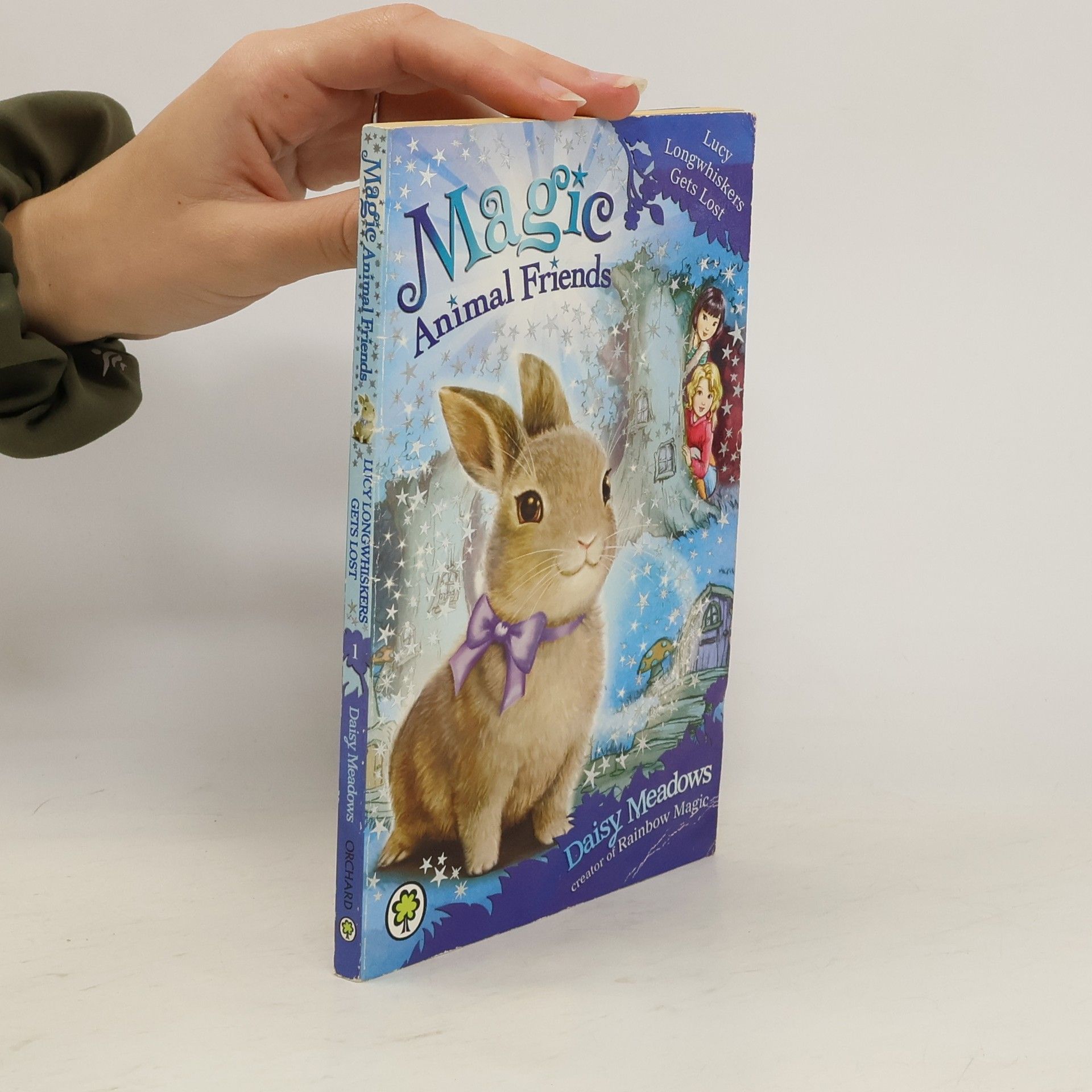 Daisy Meadows Magic Animal Friends: Lucy Longwhiskers Gets Lost