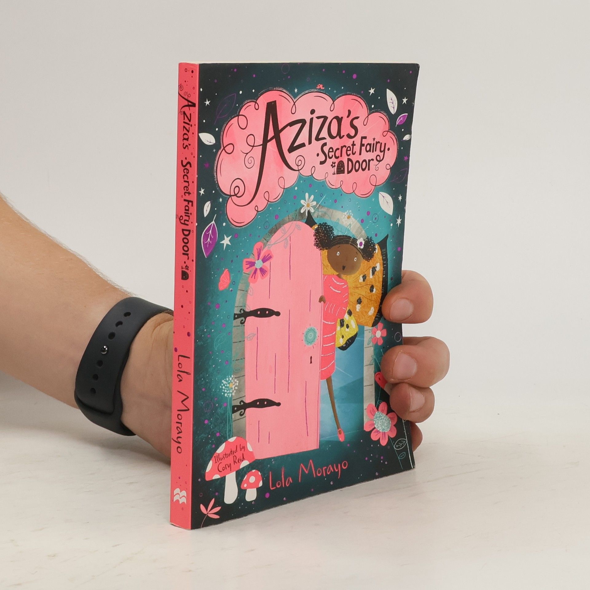 Lola Morayo Aziza's Secret Fairy Door