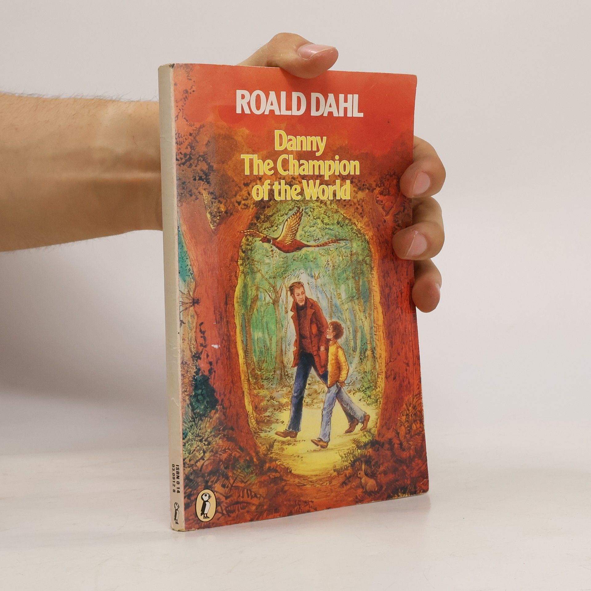 Roald Dahl Danny the Champion of the World