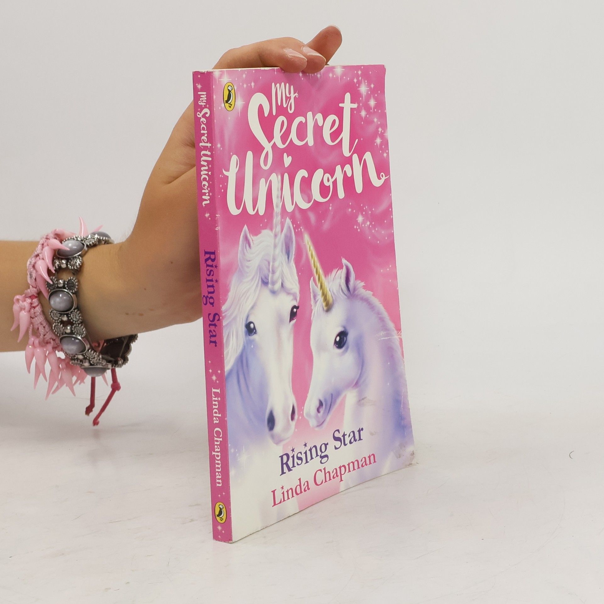 Linda Chapman My Secret Unicorn