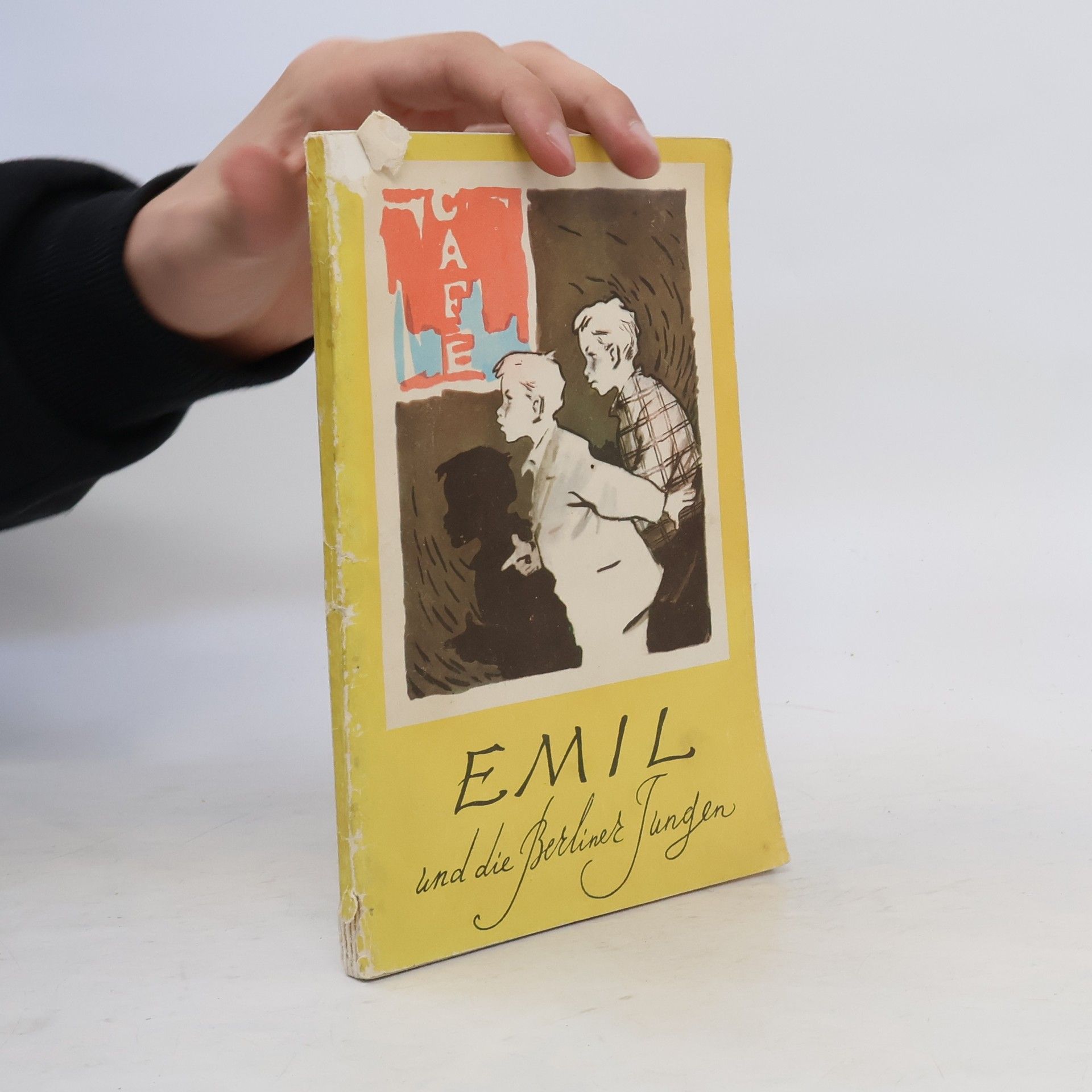 Erich Kästner Emil und die Berliner Jungen