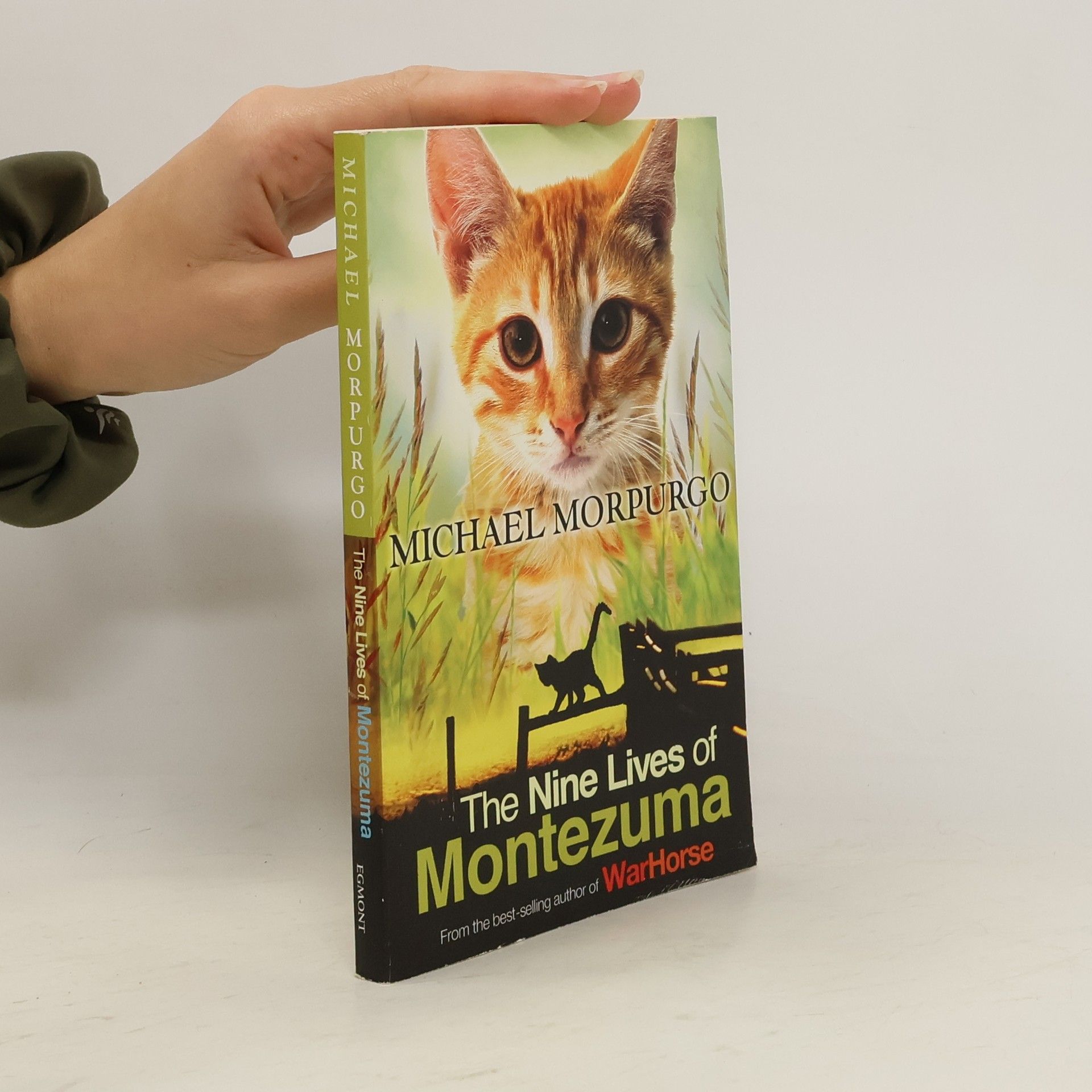 Michael Morpugo The Nine Lives of Montezuma