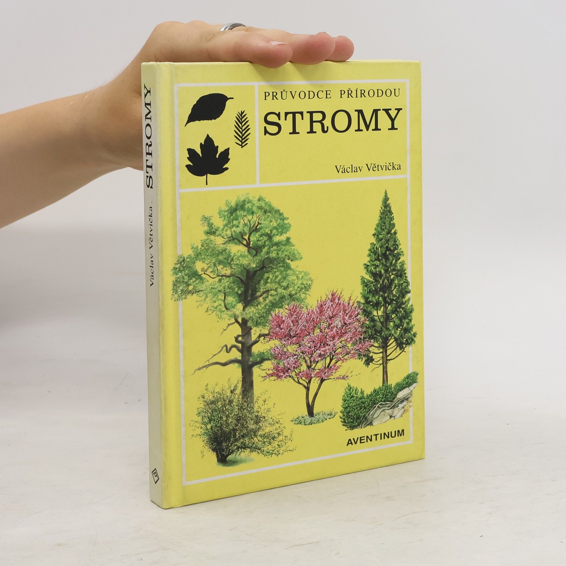 Václav Větvička Evropské stromy