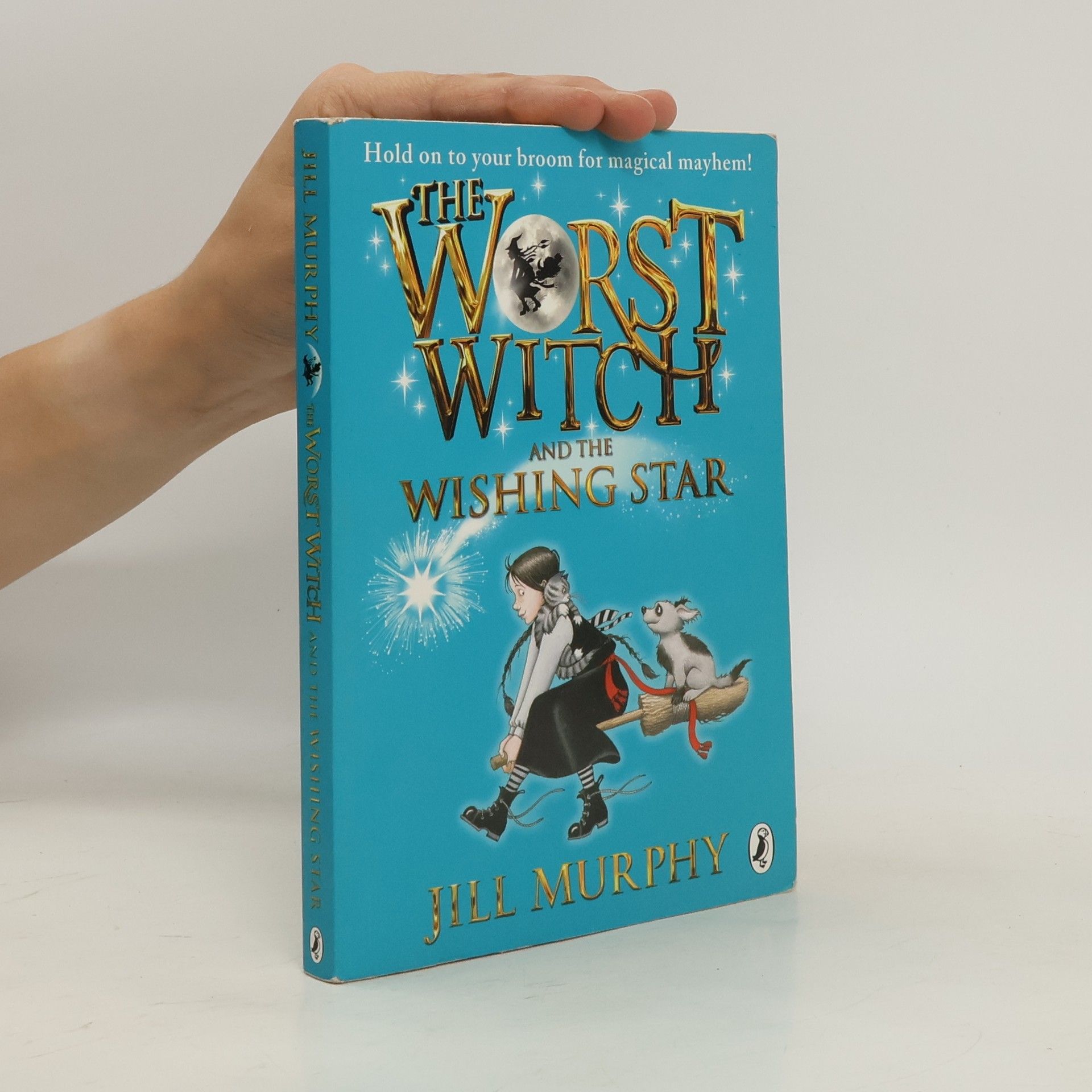 Jill Murphy Worst Witch and The Wishing Star