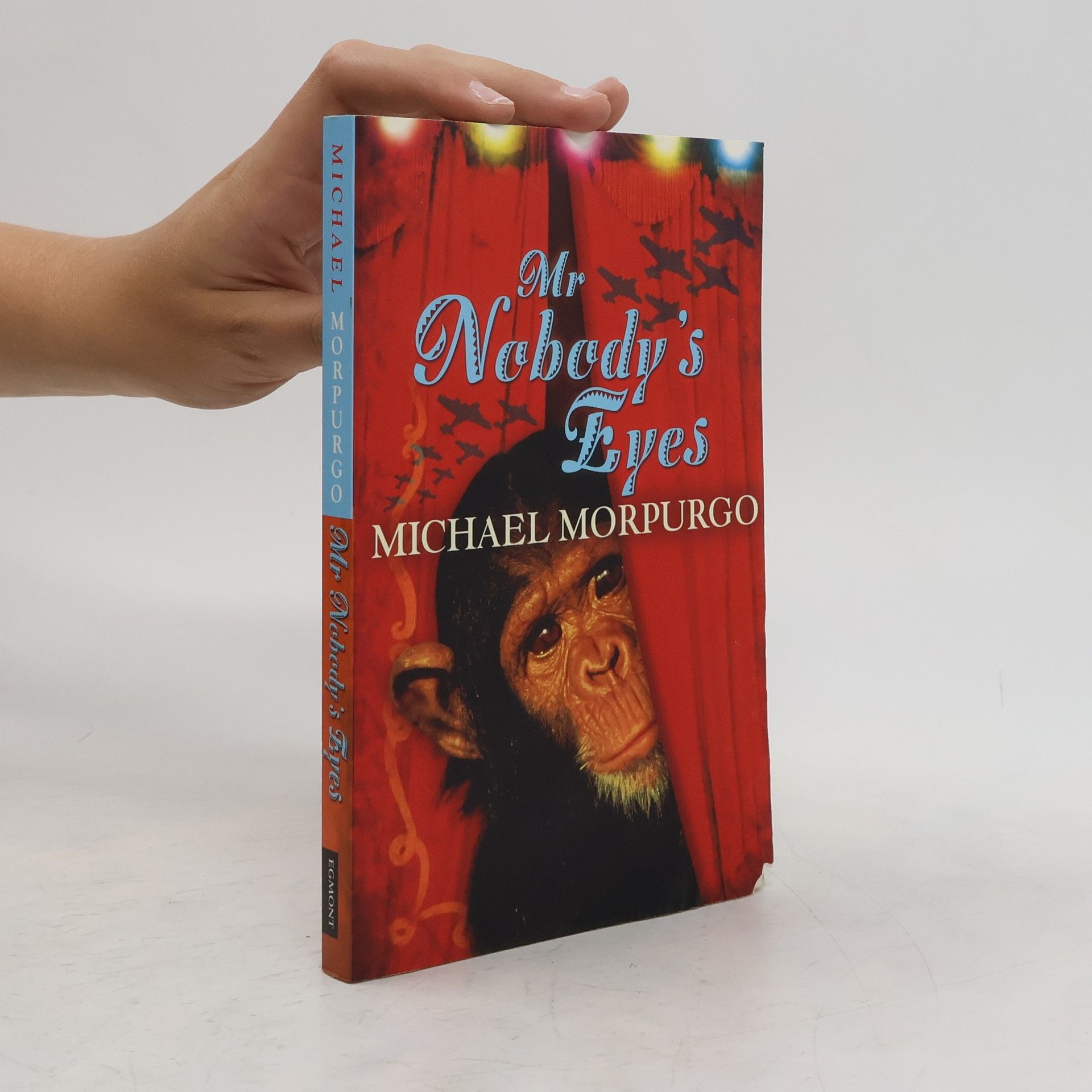 Michael Morpugo Mr Nobody's Eyes