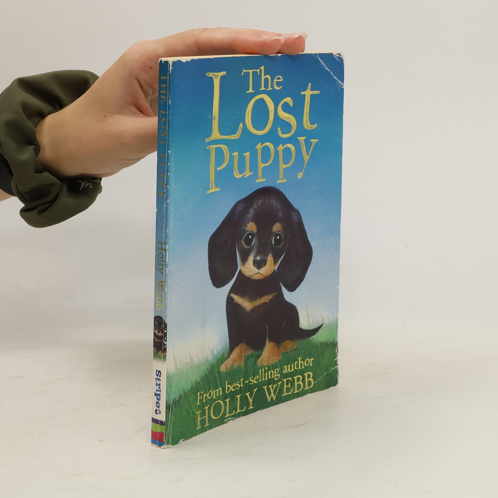 Holly Webb The Lost Puppy