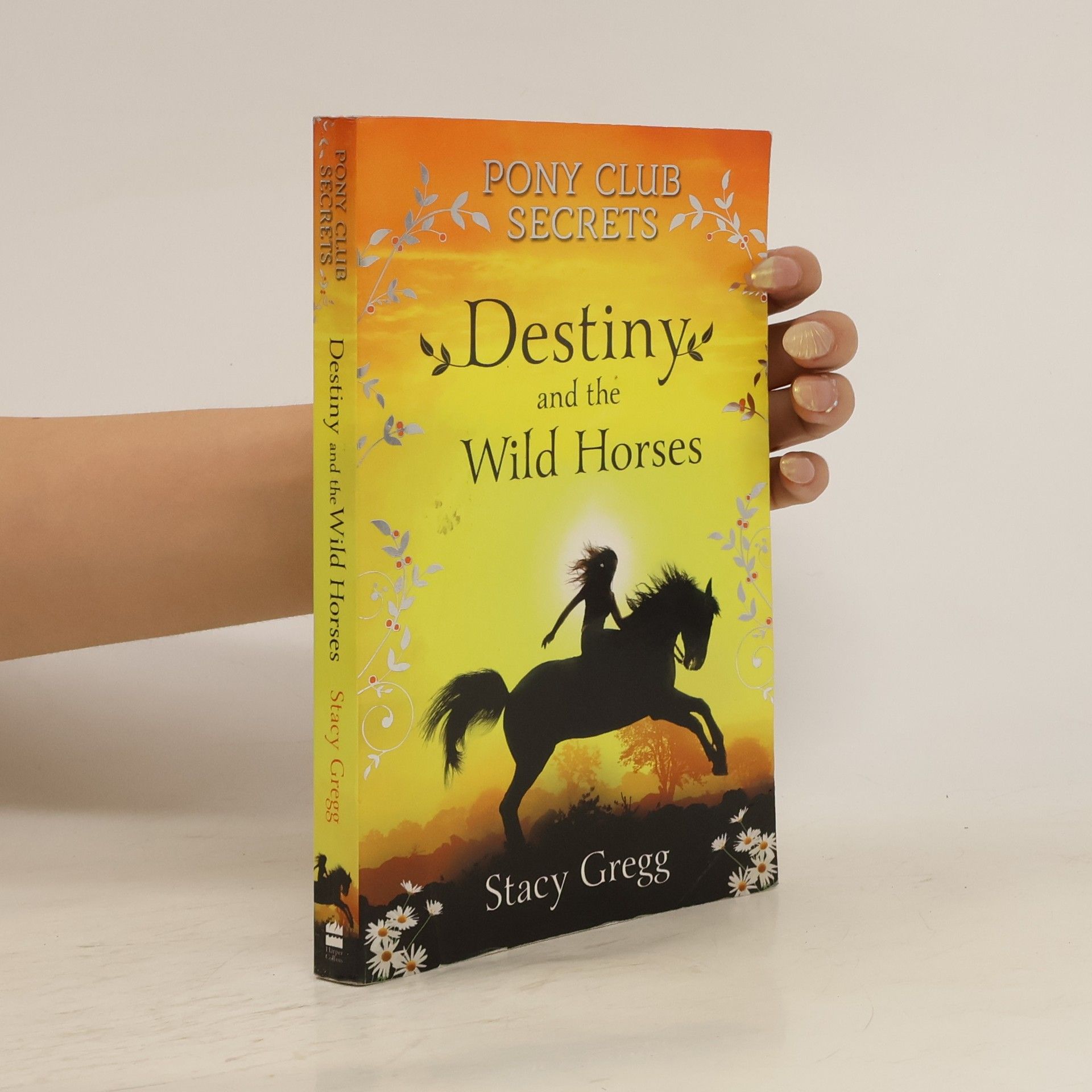 Stacy Gregg Destiny and the Wild Horses