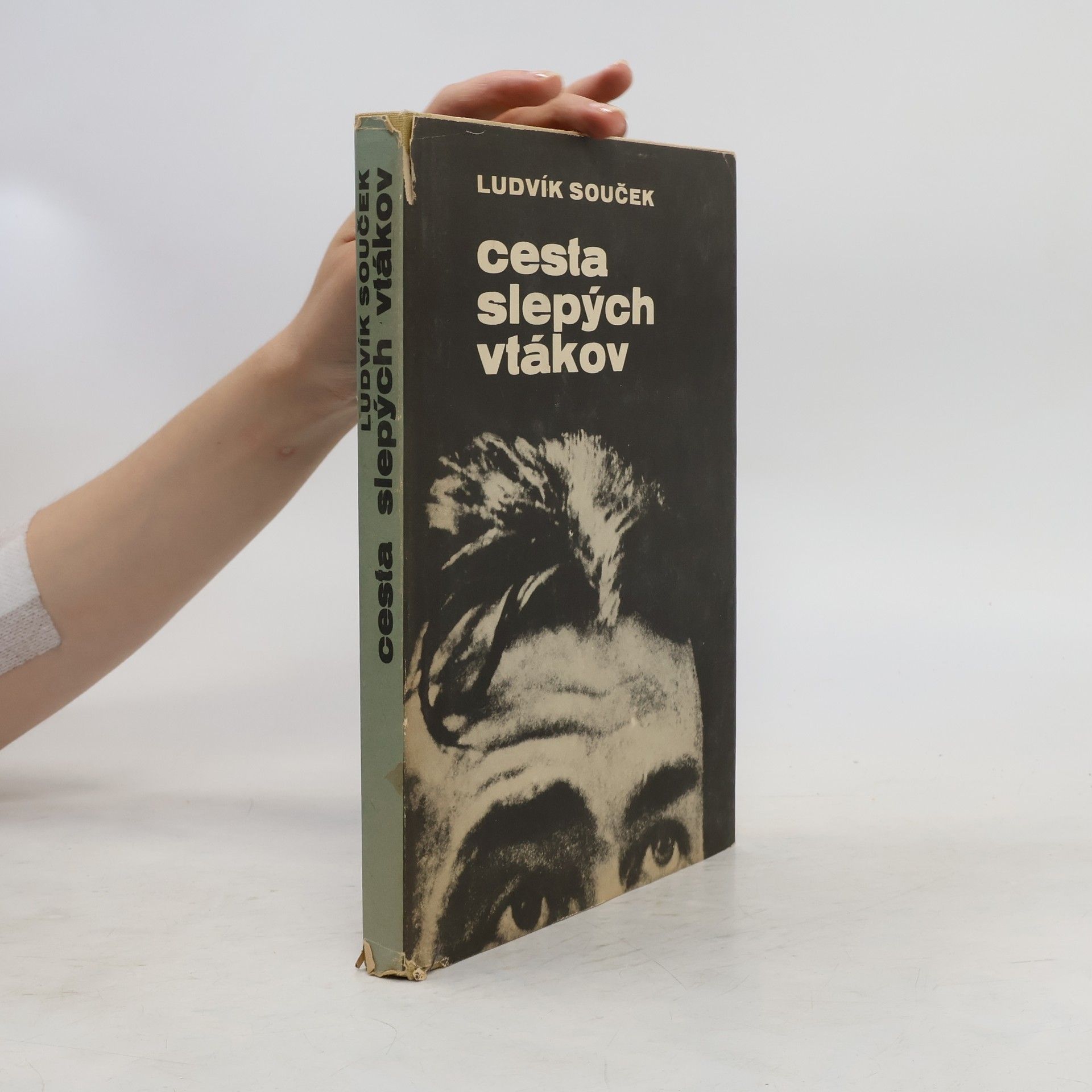 Ludvík Souček Cesta slepých vtákov