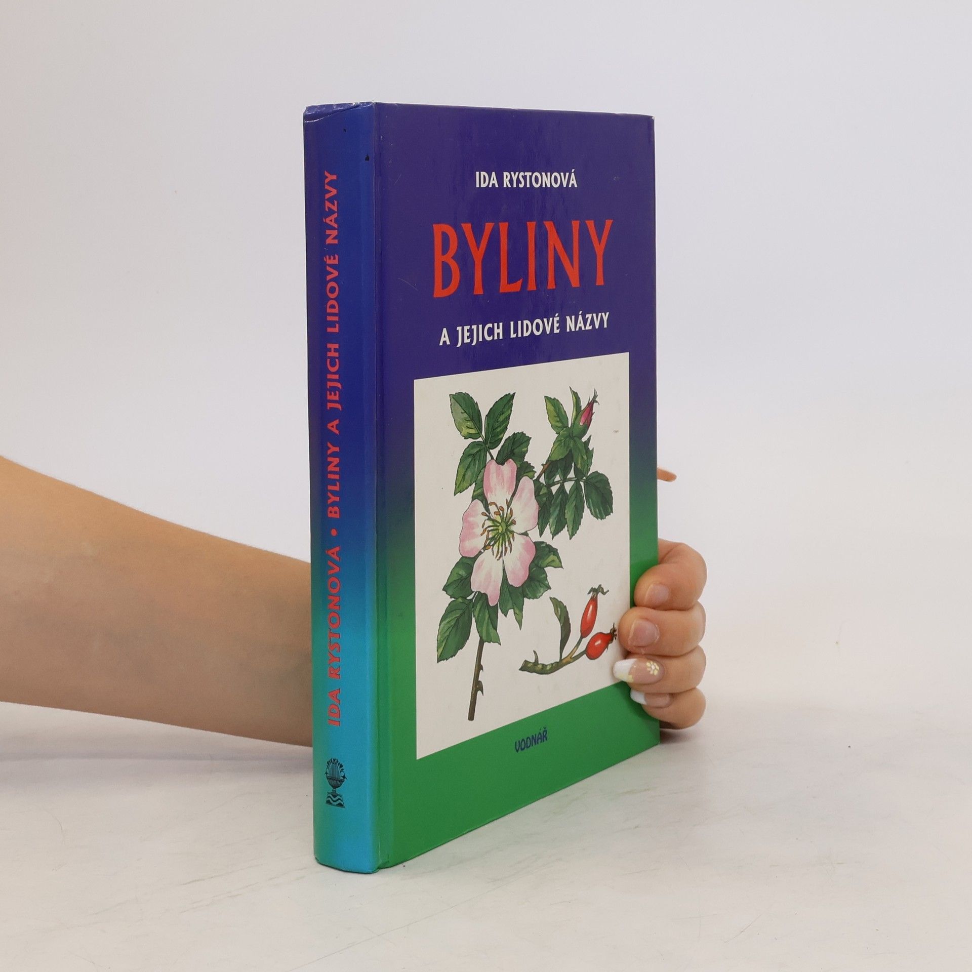 Byliny a jejich lidové názvy