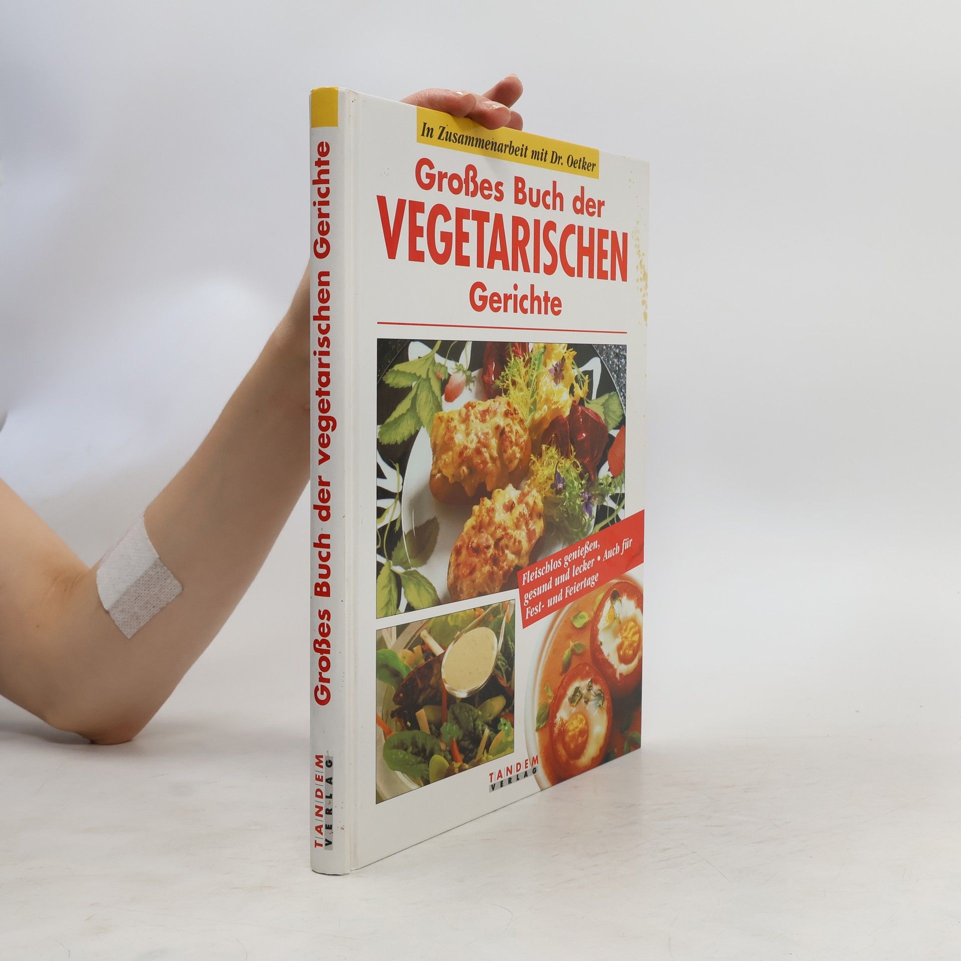 AA.VV. Großes Buch der vegetarischen Gerichte