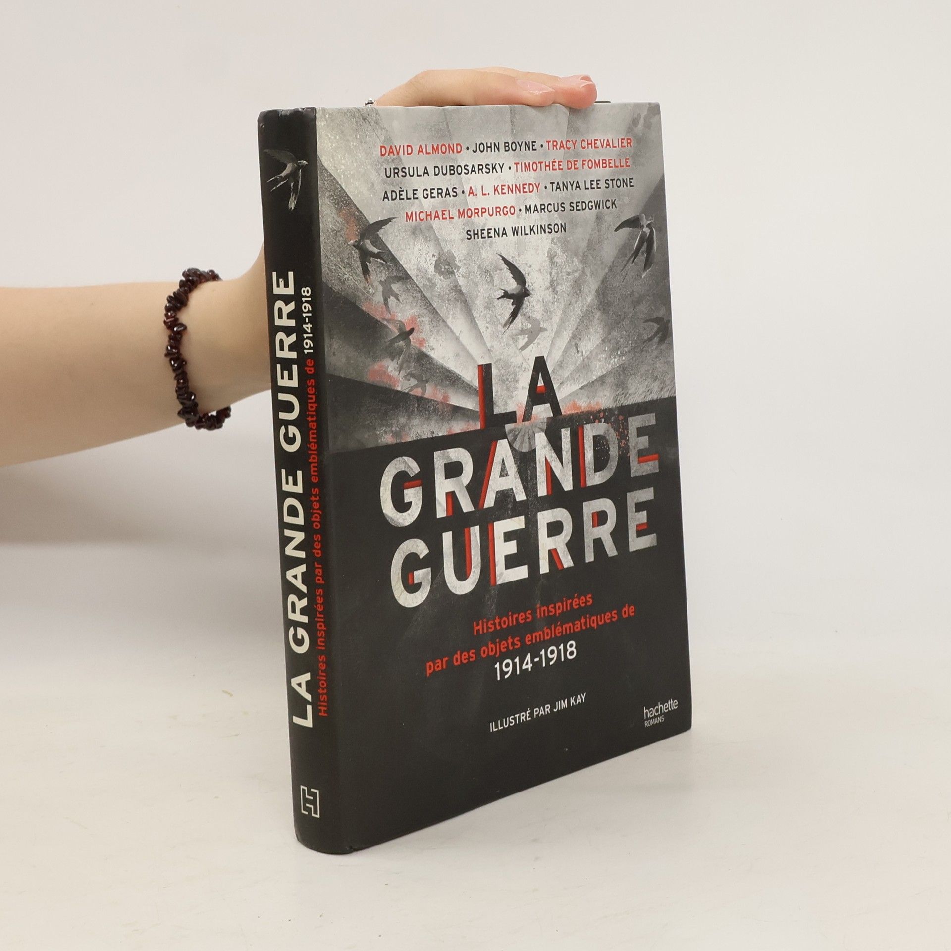 Collectif d'auteurs La Grande guerre