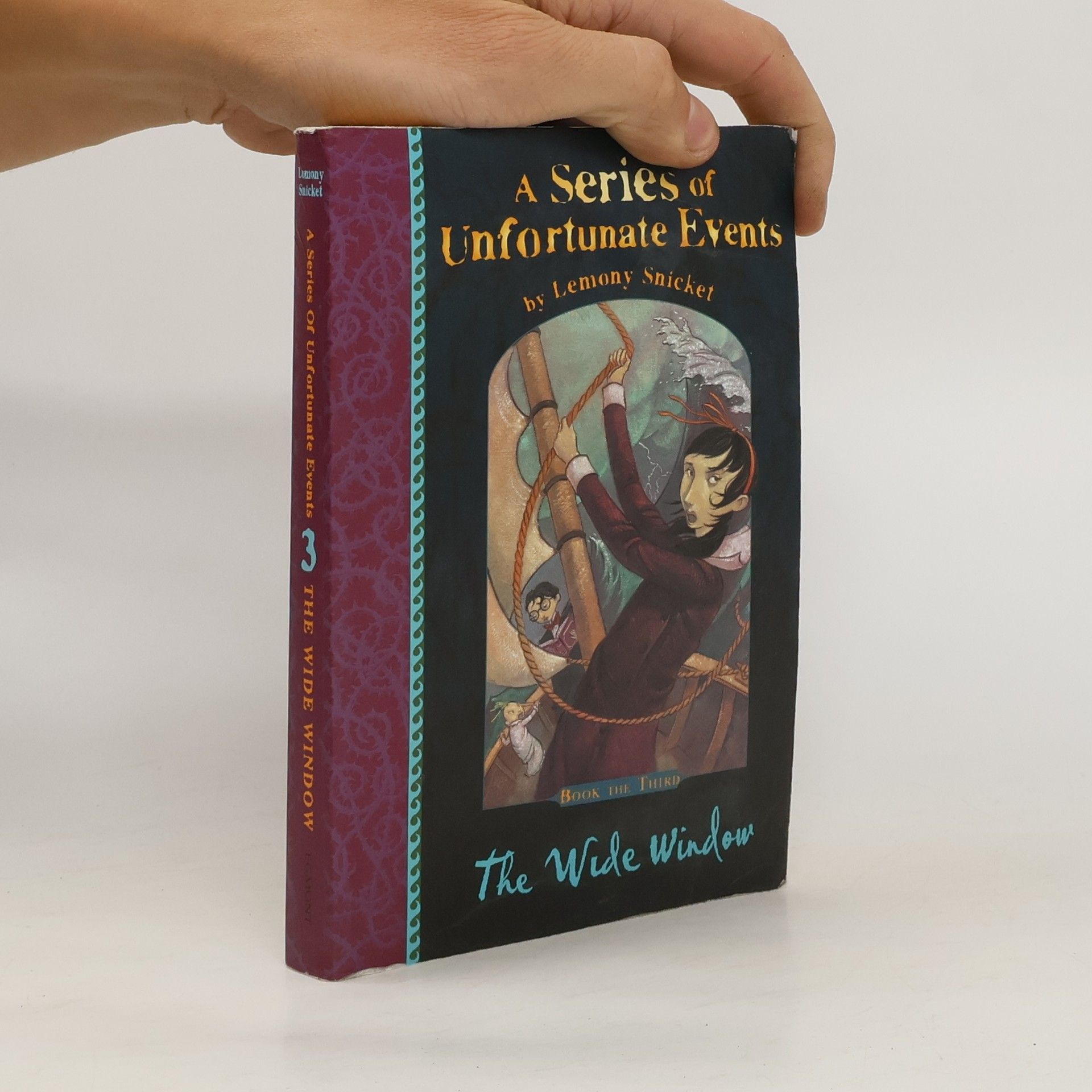 Lemony Snicket A series of unfortunate events. The wide window. Book the third