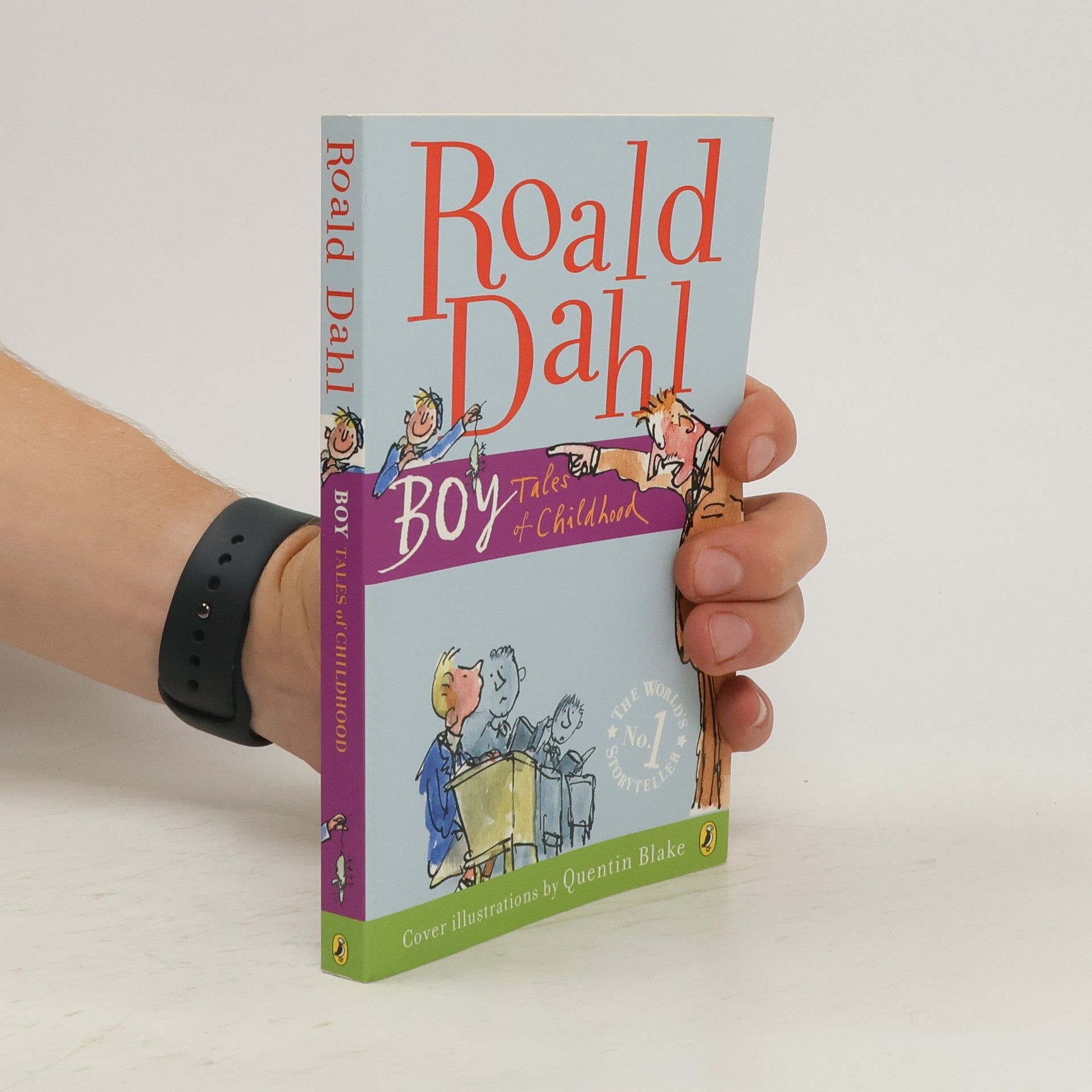 Roald Dahl Boy: Tales of Childhood