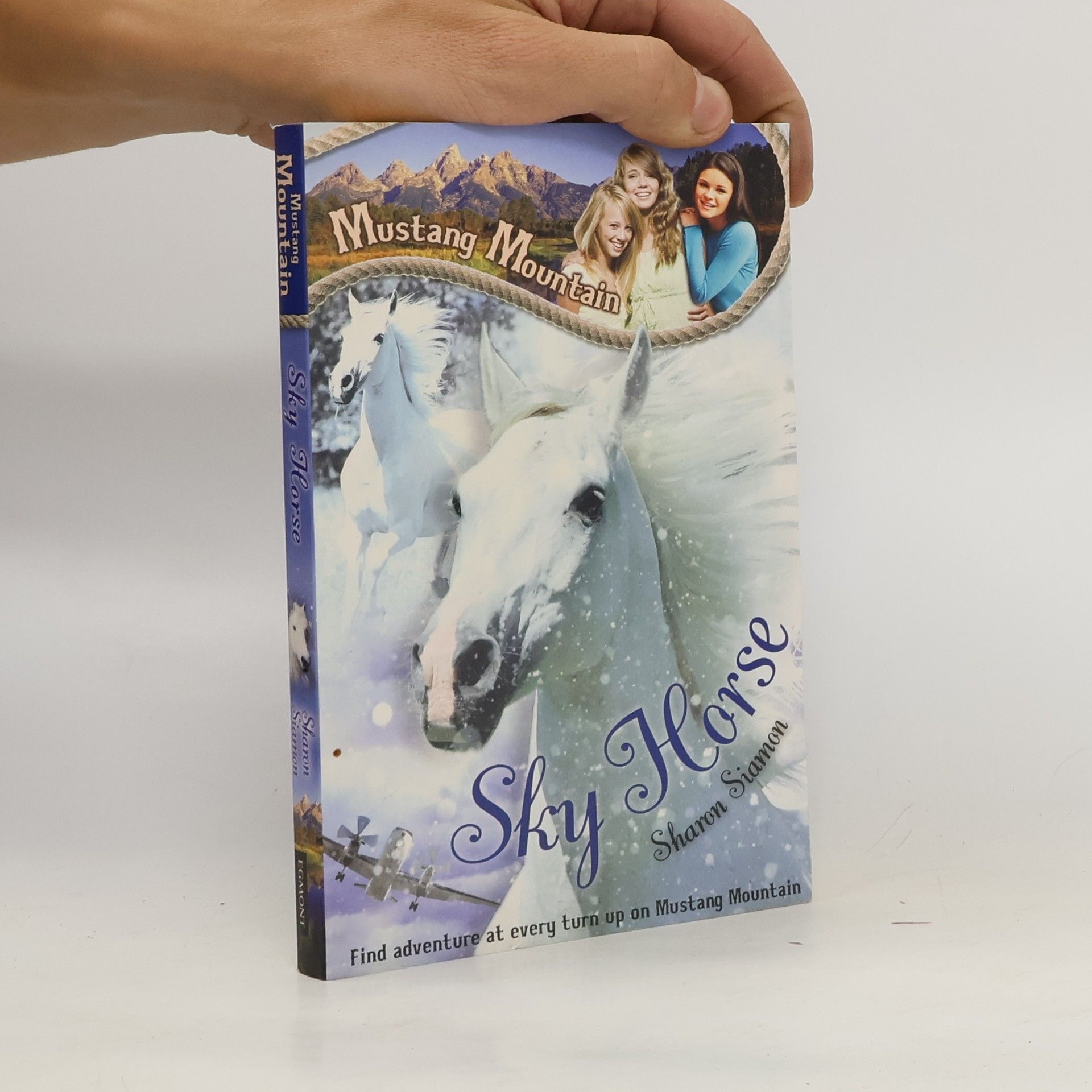 Sharon Siamon Sky Horse