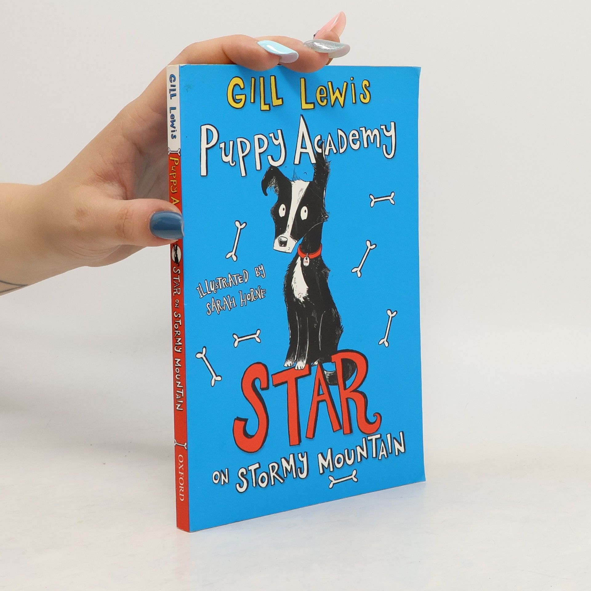 Gill Lewis Puppy Academy: Star on Stormy Mountain
