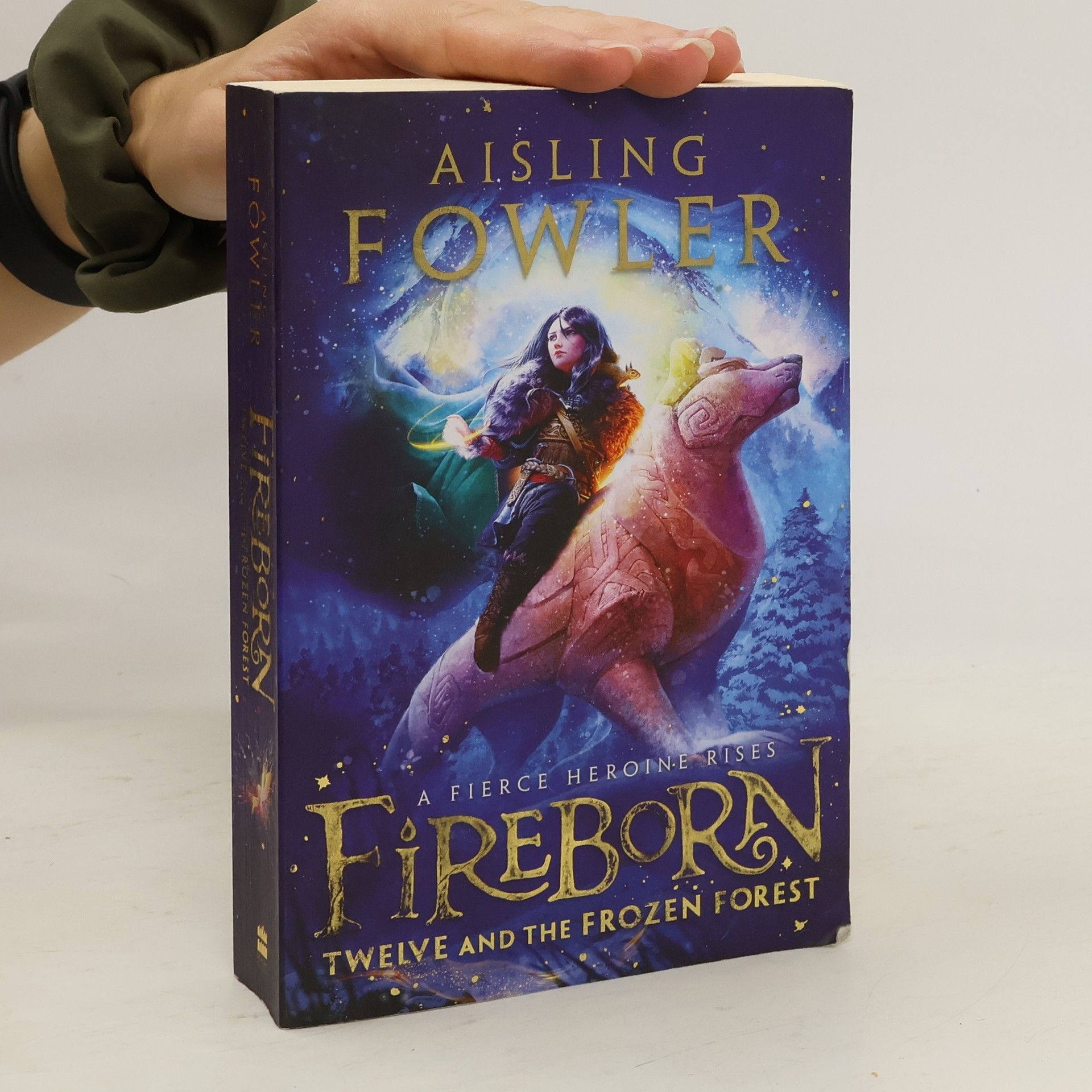 Aisling Fowler Fireborn: Twelve and the Frozen Forest