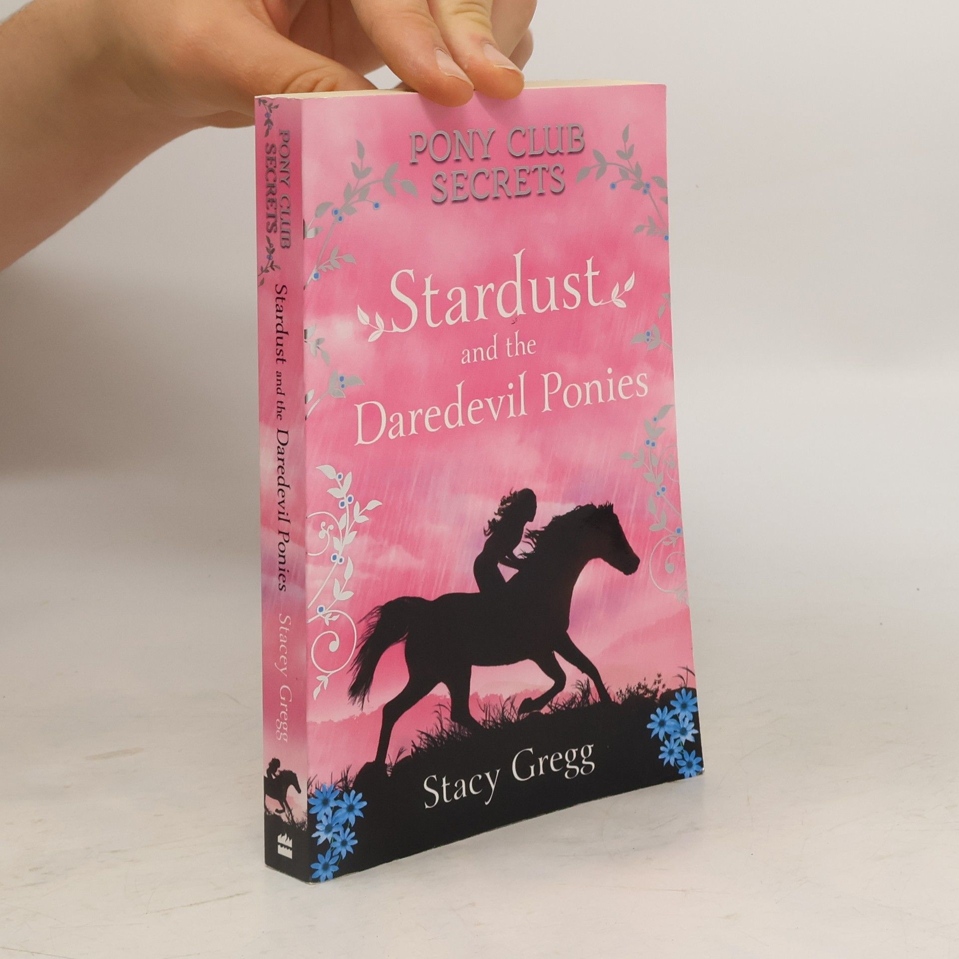 Stacy Gregg Stardust and the Daredevil Ponies
