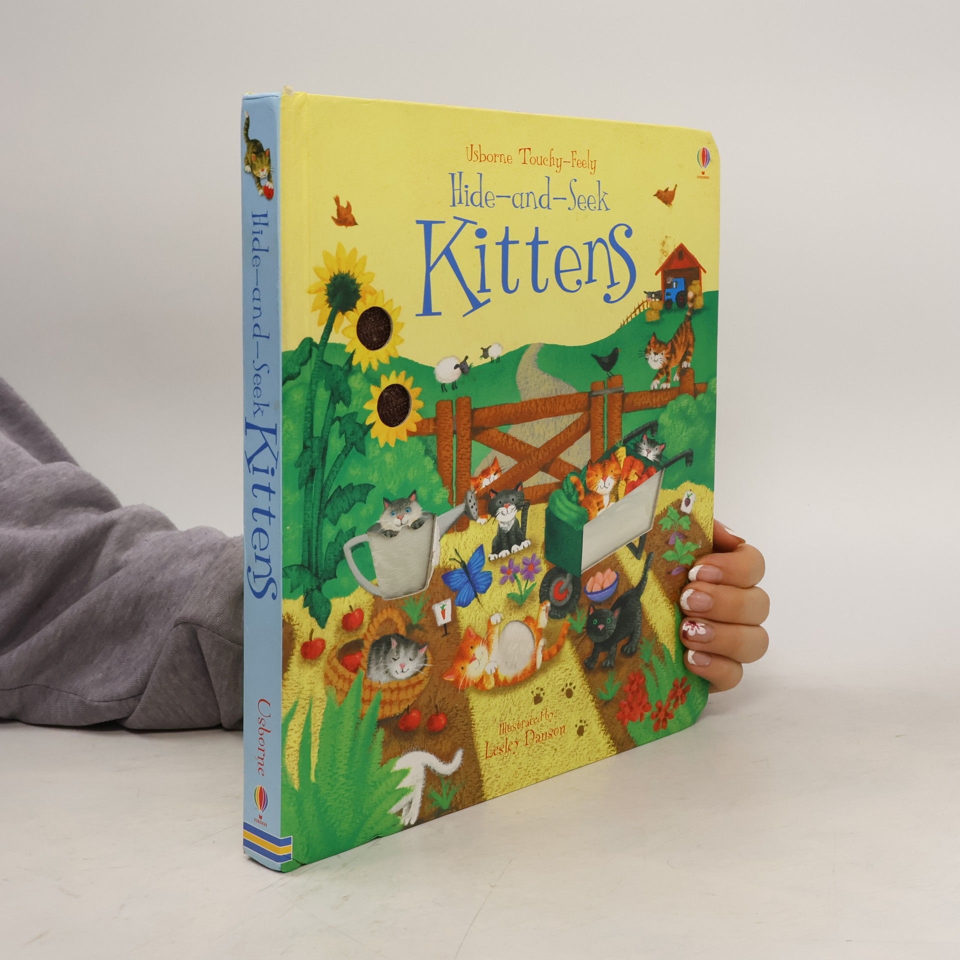 Lesley Danson Hide and Seek Kittens