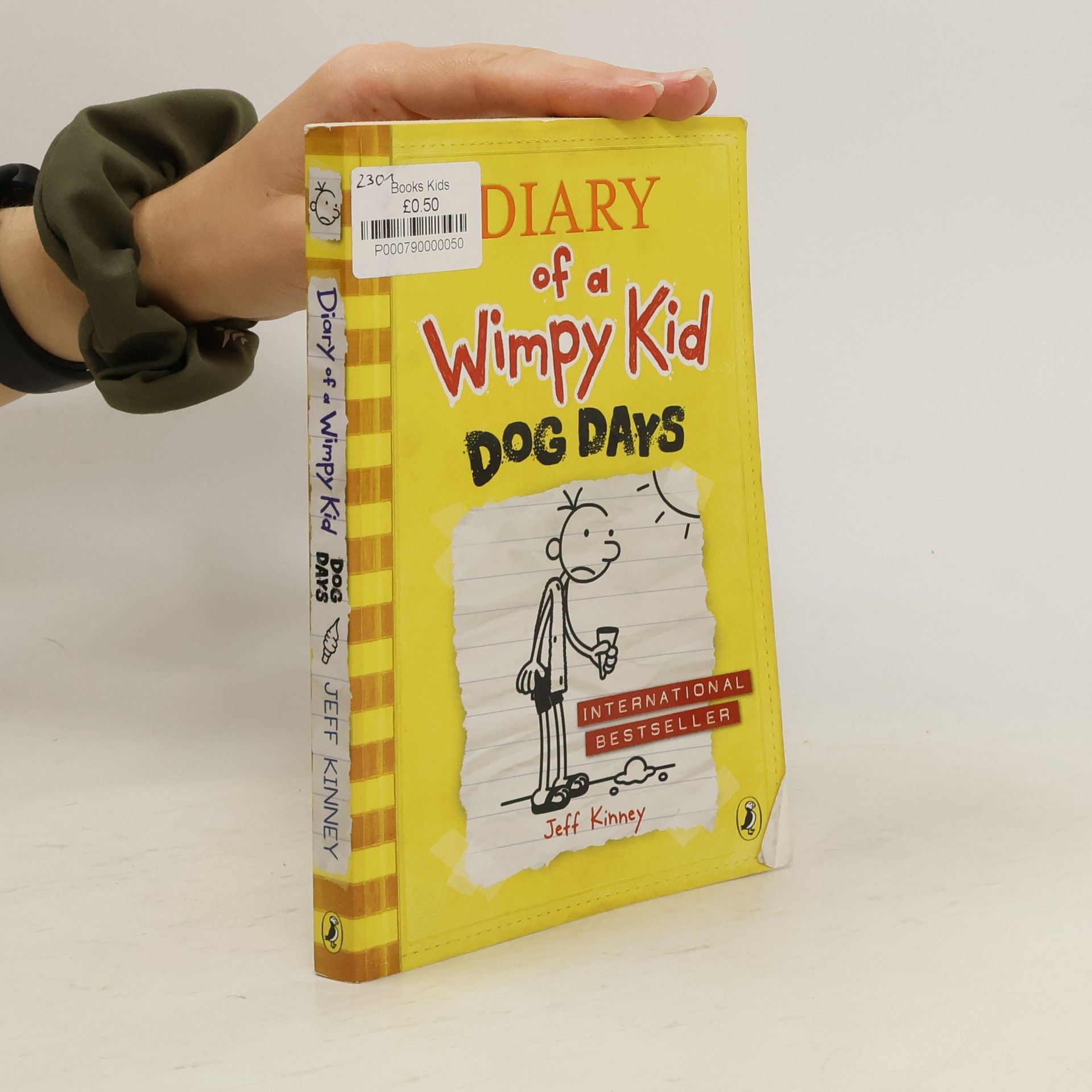Jeff Kinney Diary of a wimpy kid : Dog days