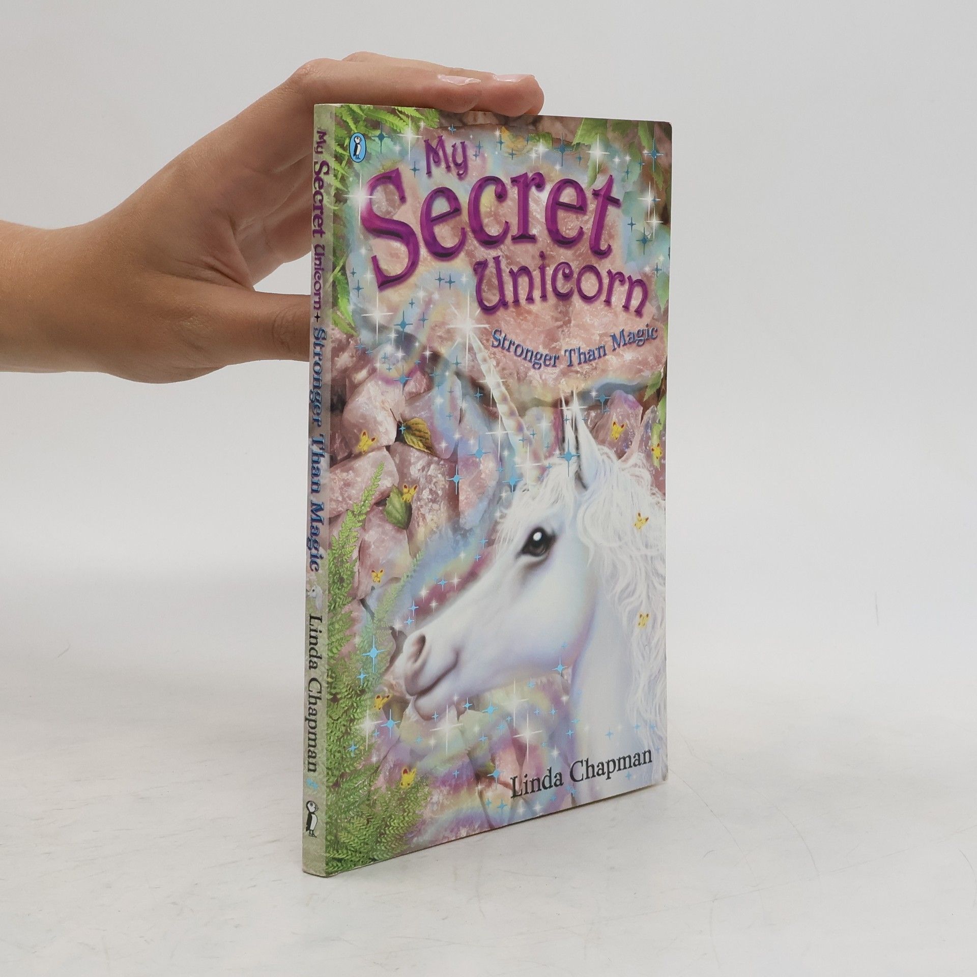 Linda Chapman My Secret Unicorn