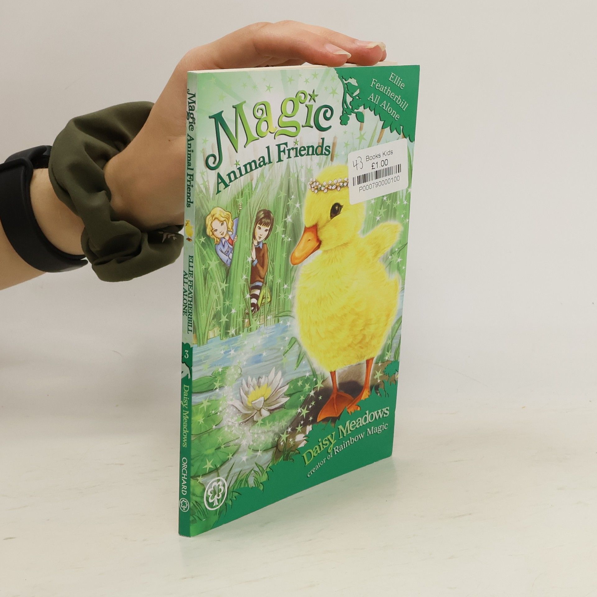 Daisy Meadows Magic Animal Friends: Ellie Featherbill All Alone