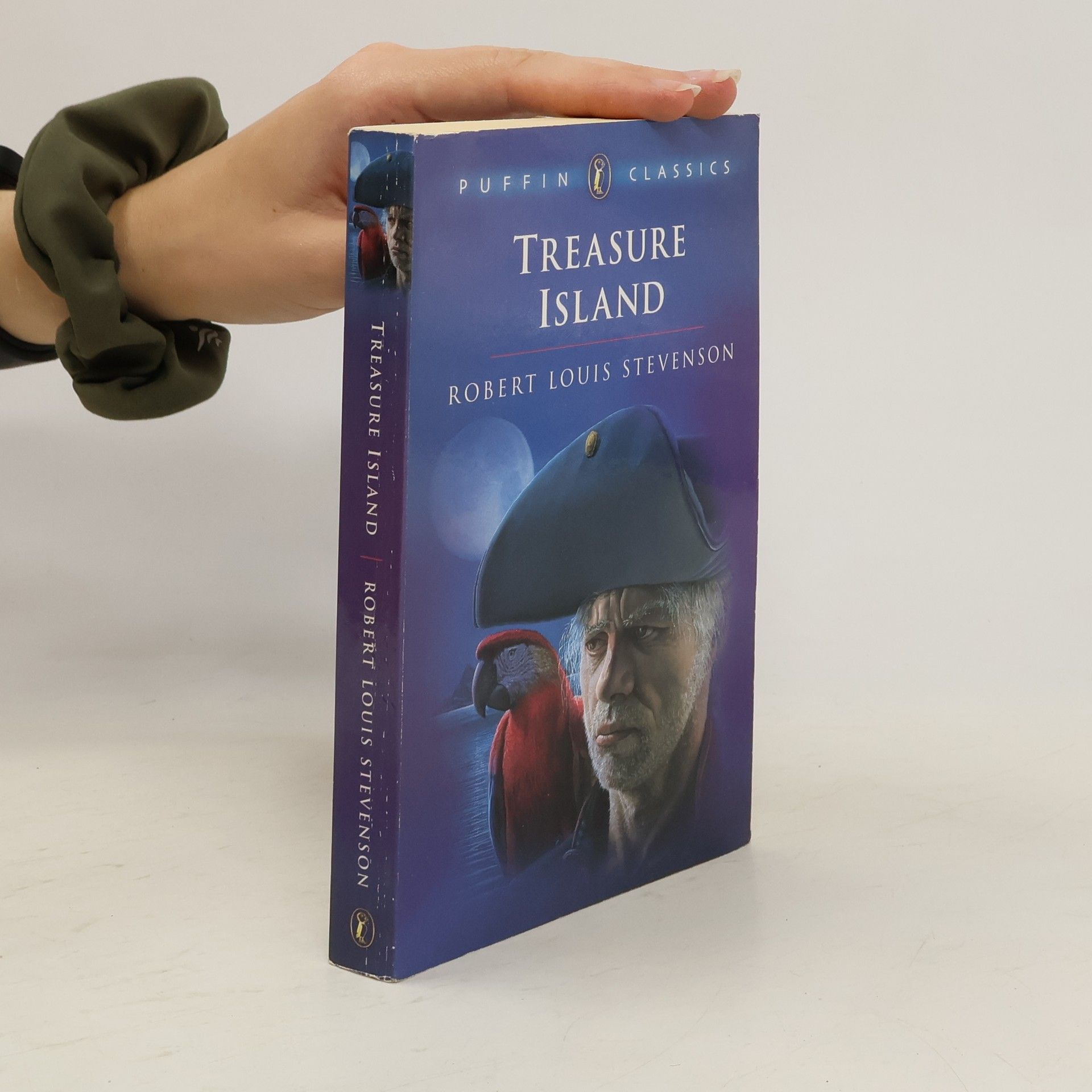 Robert Louis Stevenson Treasure island