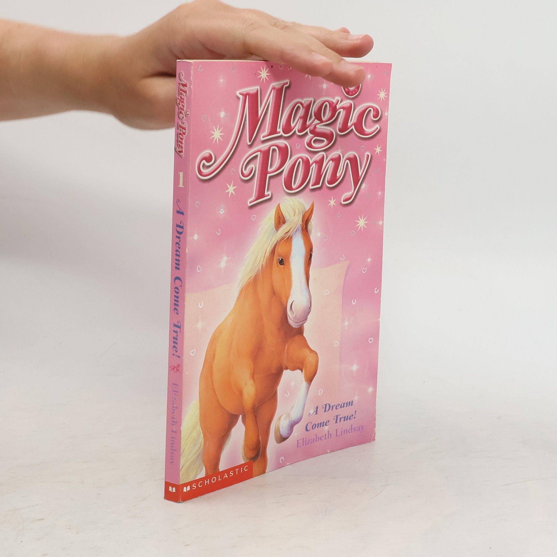 Elizabeth Lindsay Magic Pony 1. Dream Come True