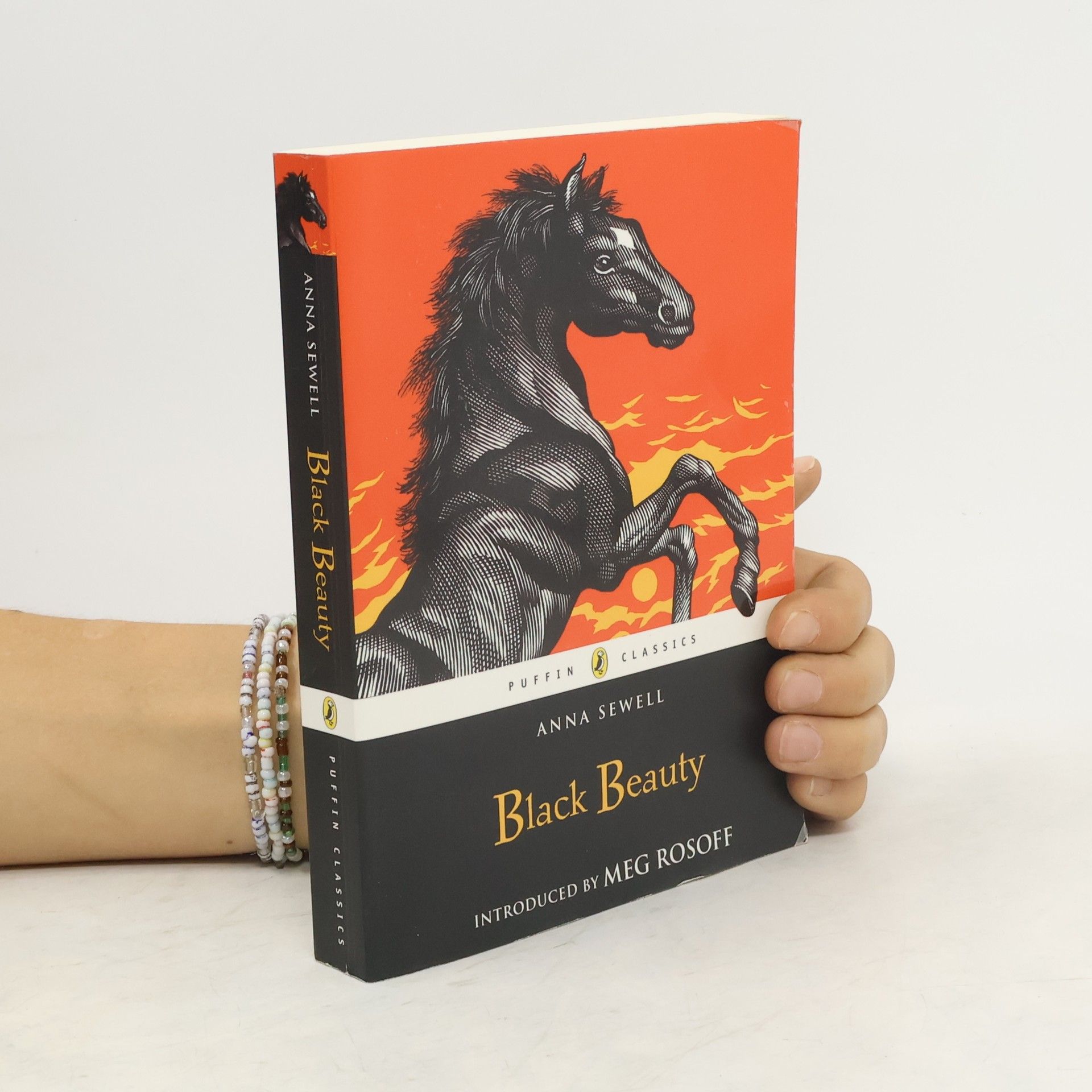 Anna Sewel Black Beauty