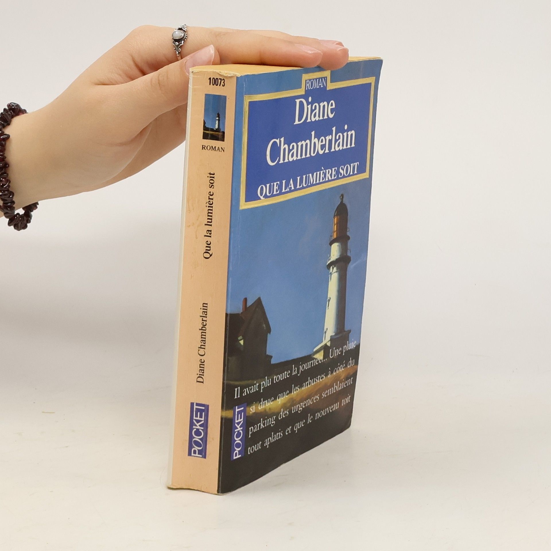 Diane Chamberlain Que la lumière soit