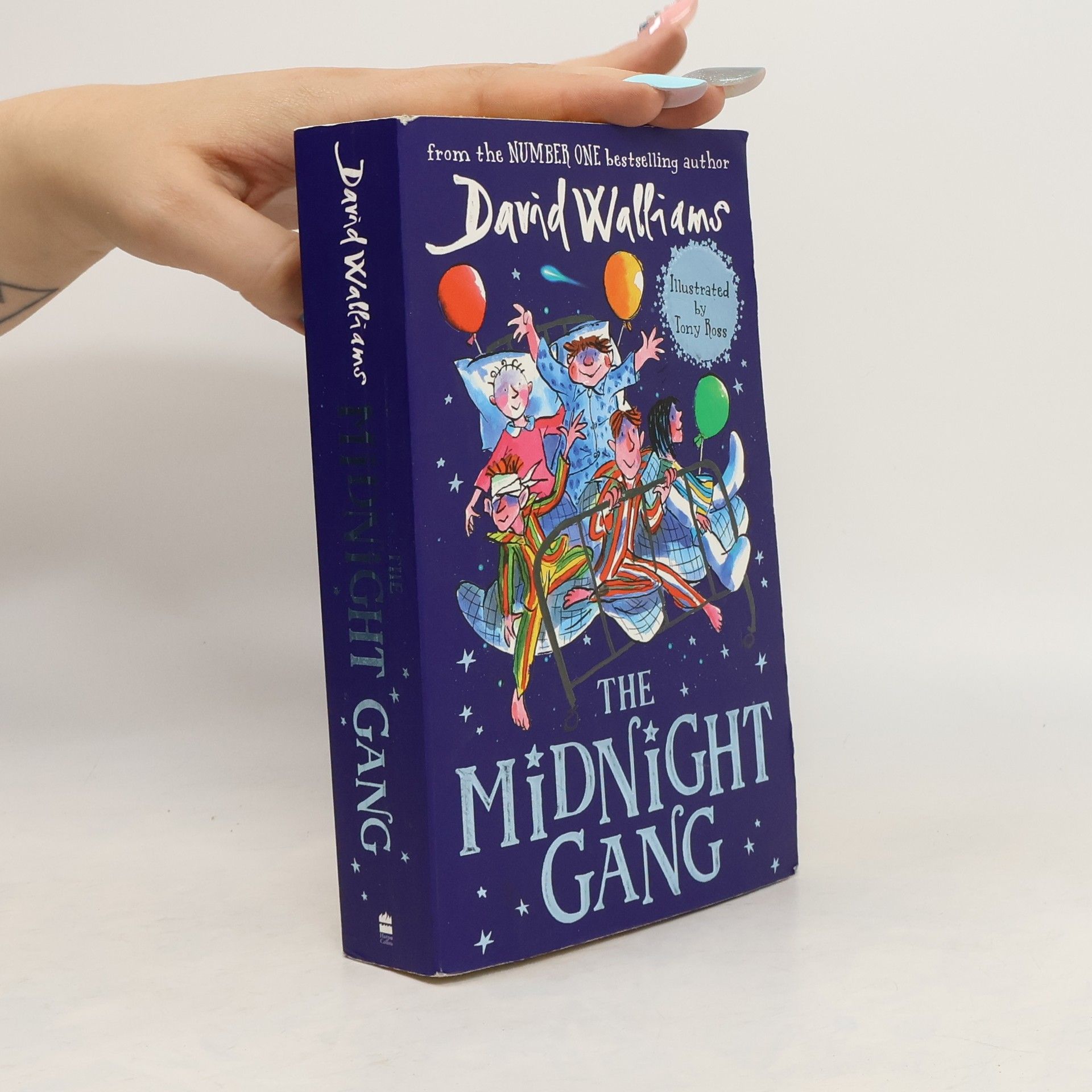 David Walliams The Midnight Gang
