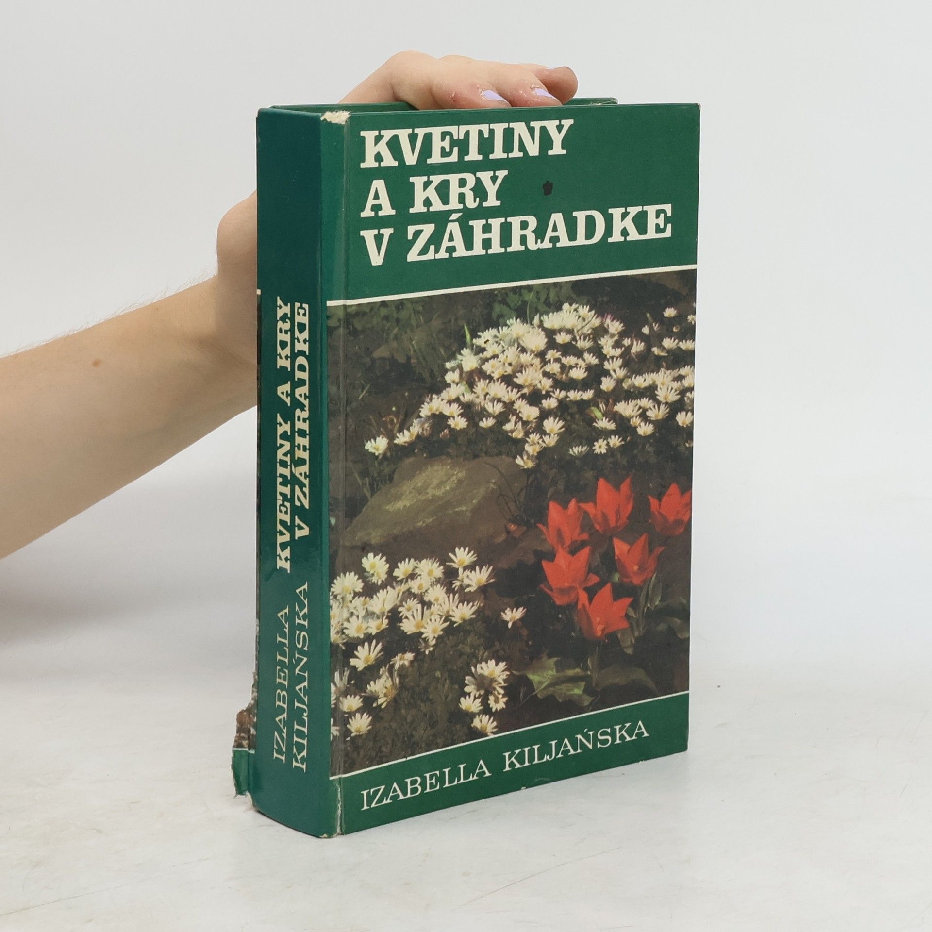 Izabella Kiljanská Kvetiny a kry v záhradke