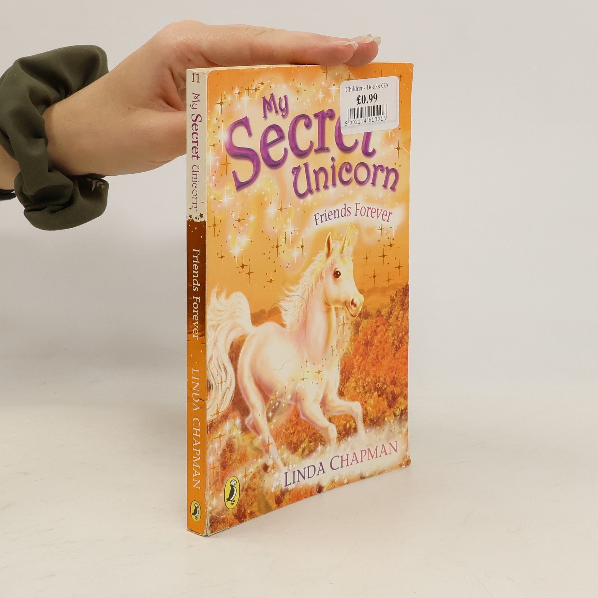 Linda Chapman My Secret Unicorn