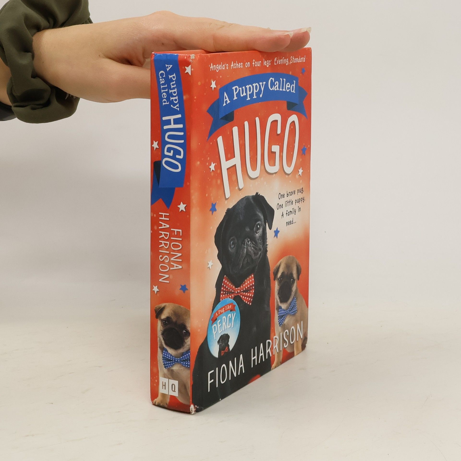 Fiona Harrison A Puppy called Hugo