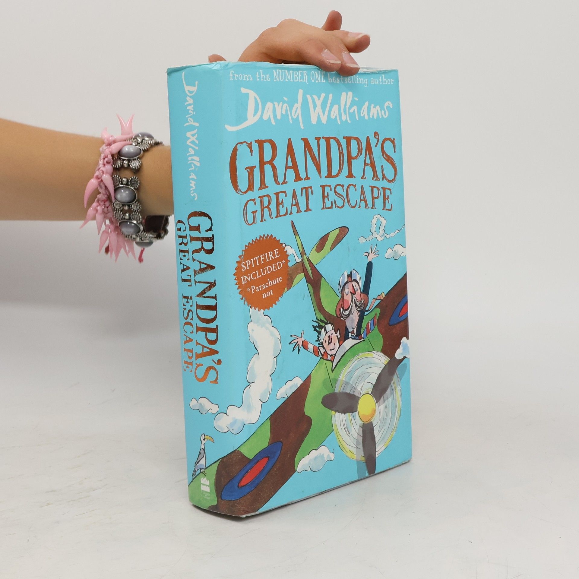 David Walliams Grandpa's Great Escape