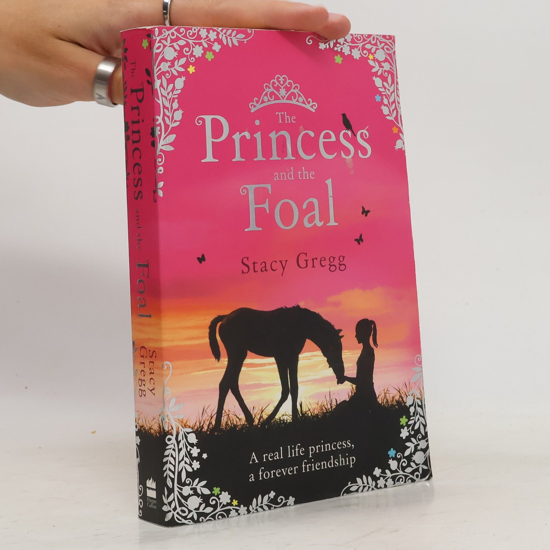 Stacy Gregg The Princess and the Foal
