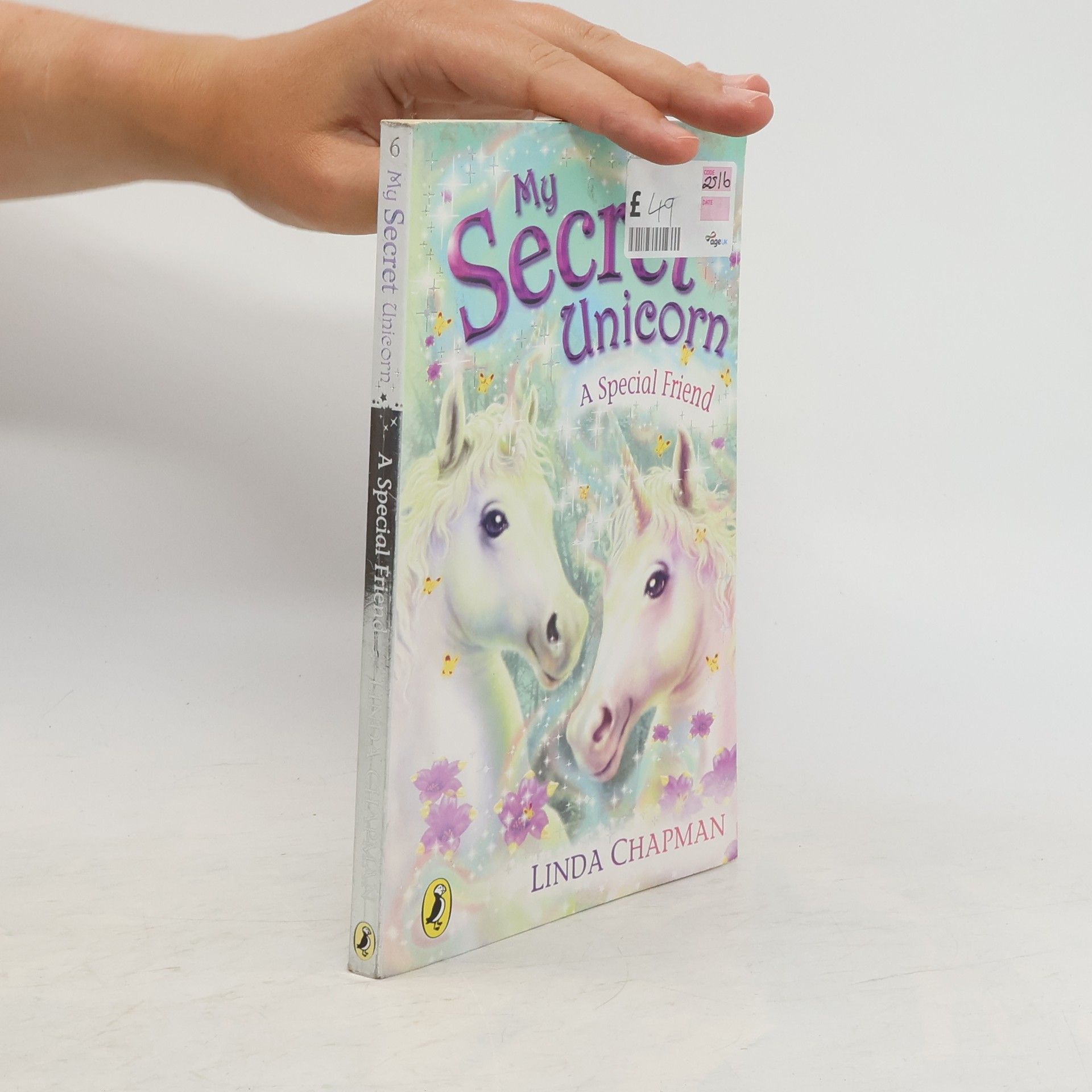 Linda Chapman My Secret Unicorn