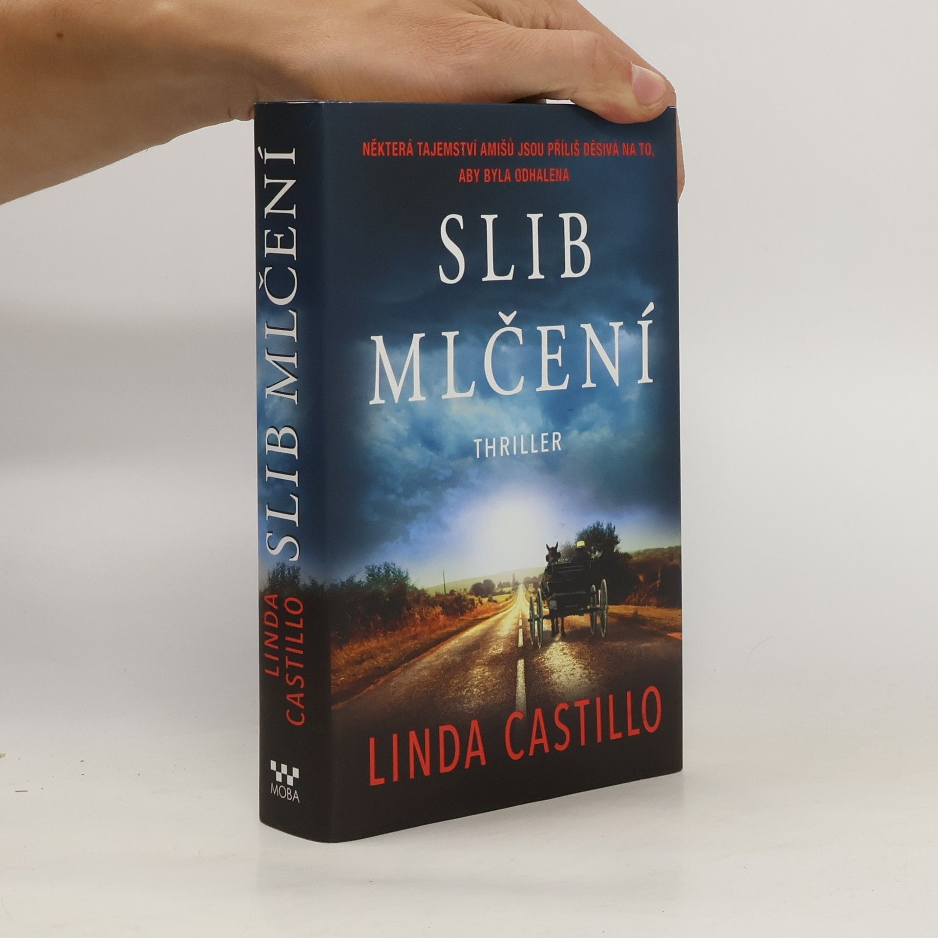 Linda Castillo Slib mlčení