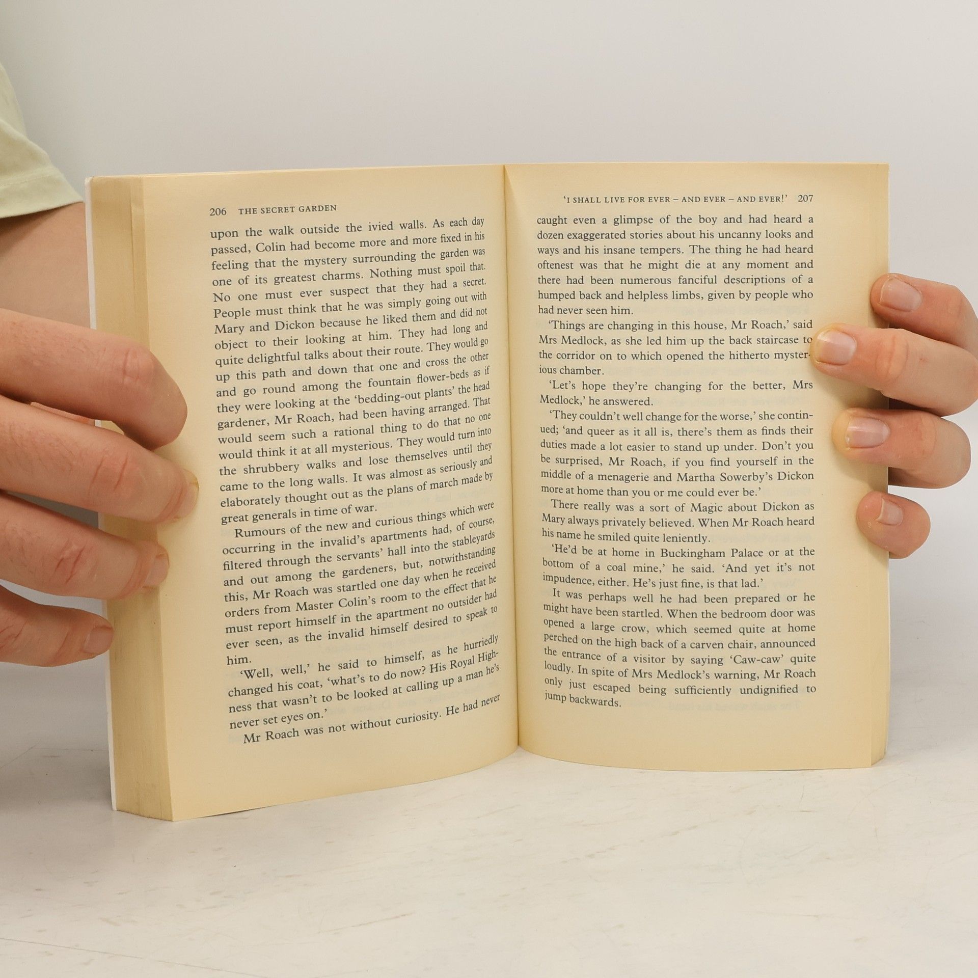 Frances Hodgson Burnett The Secret Garden
