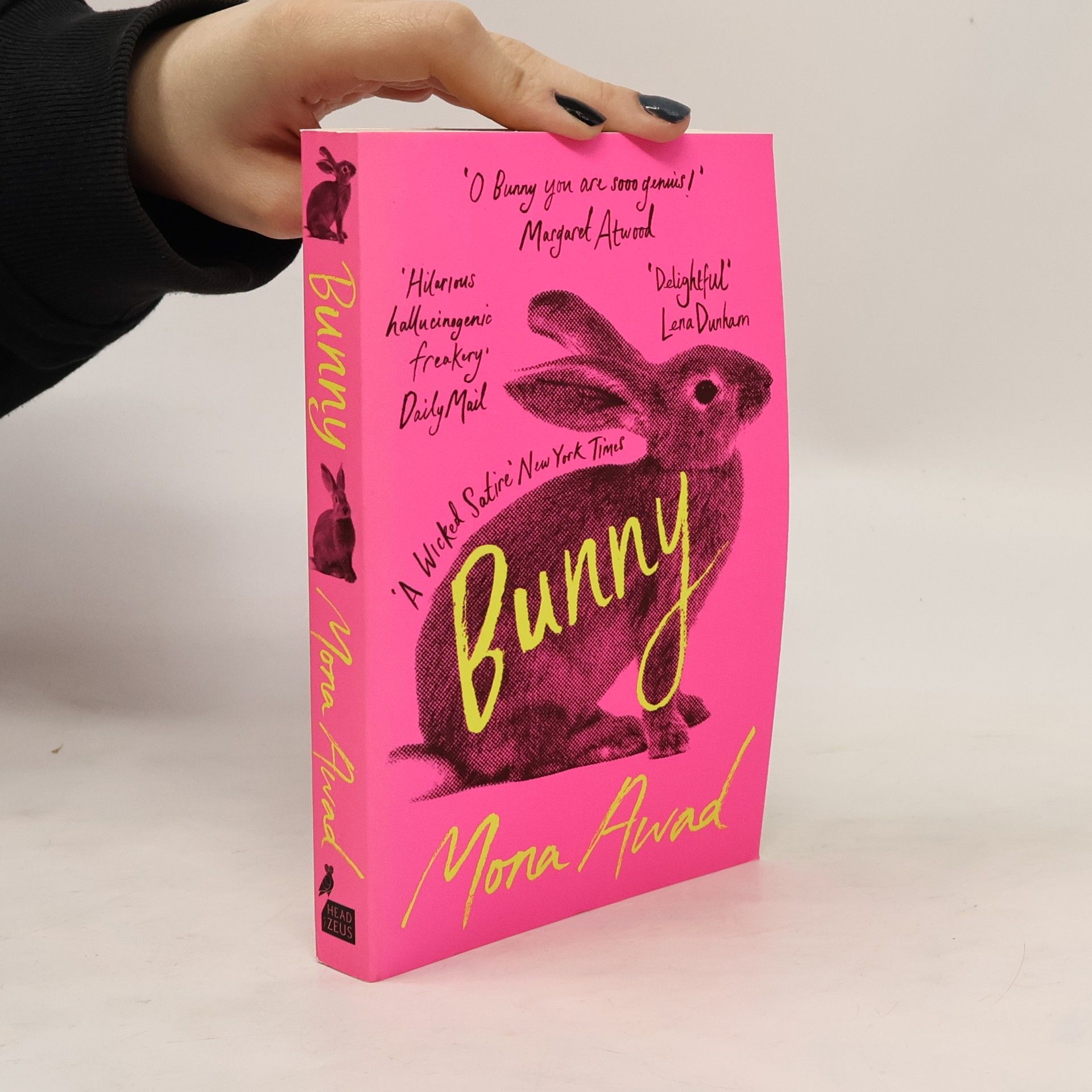 Mona Awad Bunny