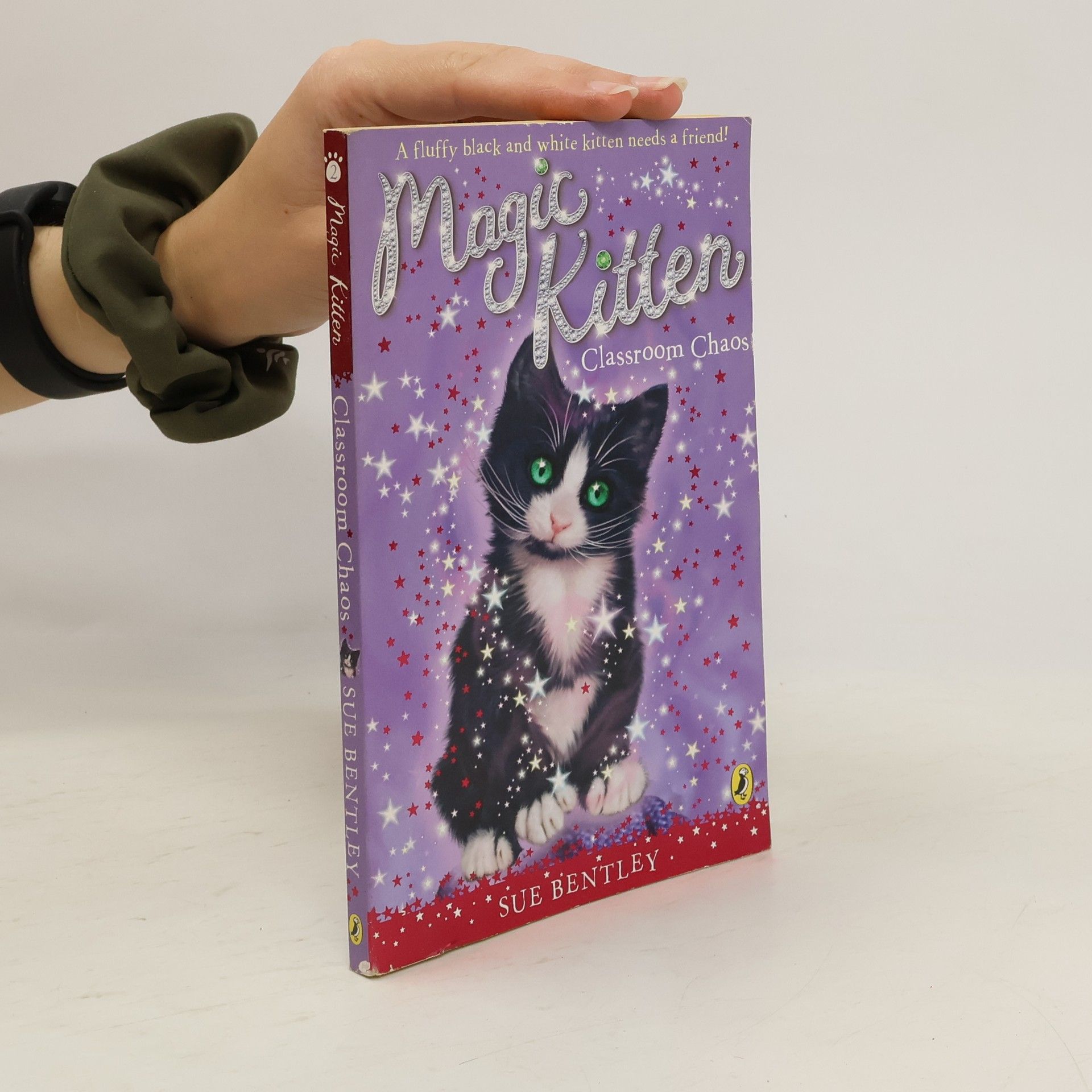 Sue Bentley Magic Kitten. Classroom Chaos