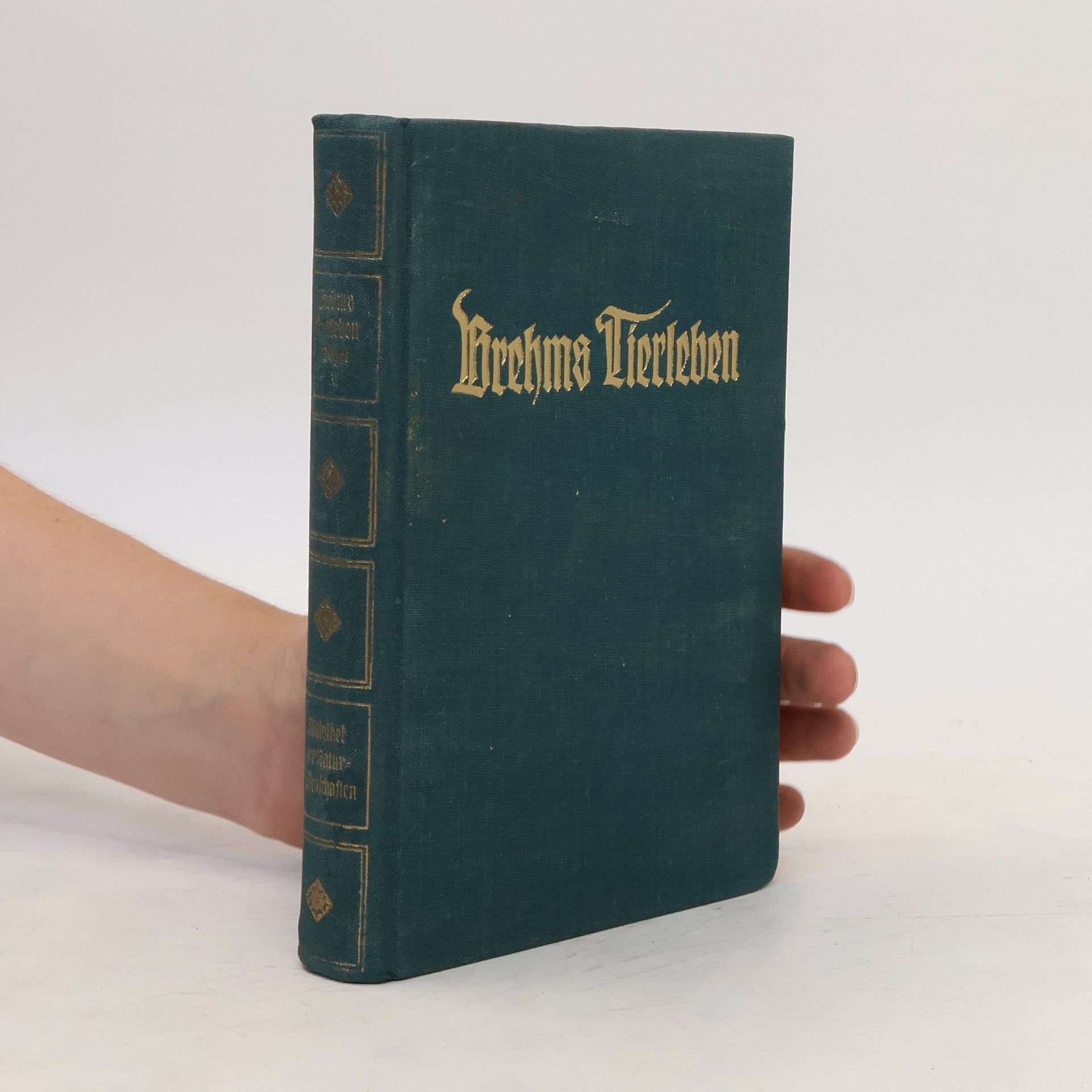 Alfred Edmund Brehm Brehms Tierleben 19