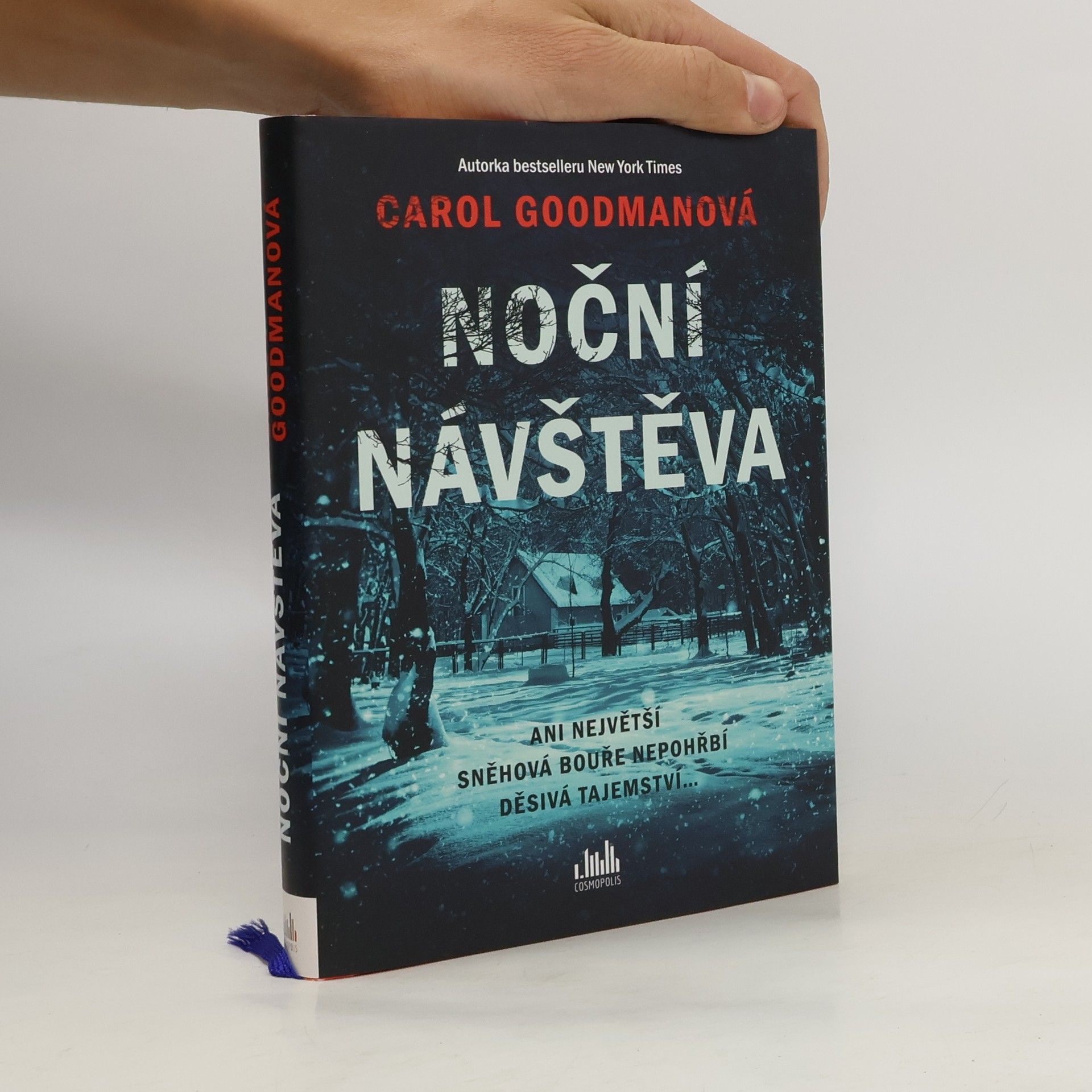 Lee Carroll Noční návštěva