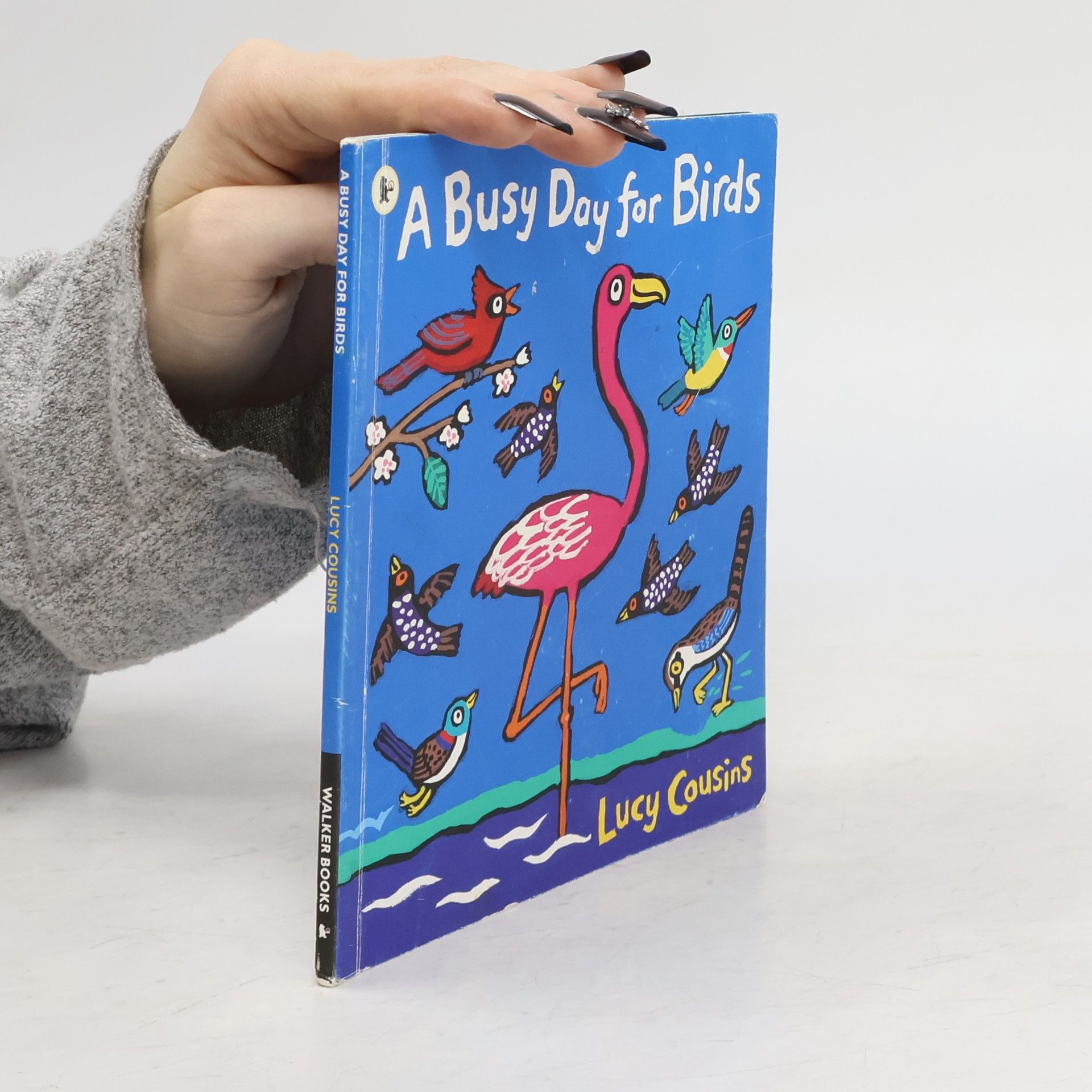 Lucy Cousins A Busy Day for Birds